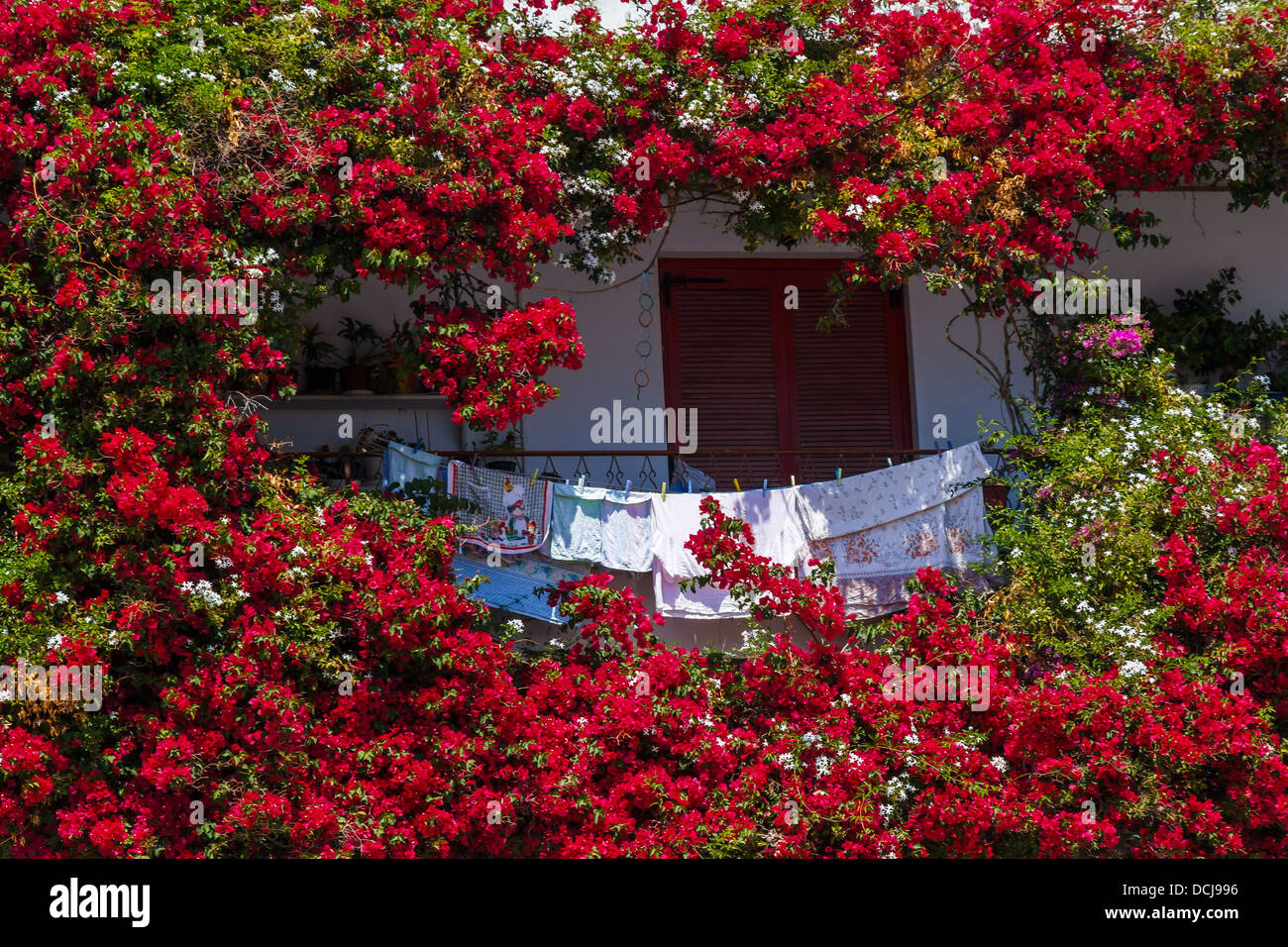 Blume verziert Balkon in Tinos Insel in Griechenland Stockfoto