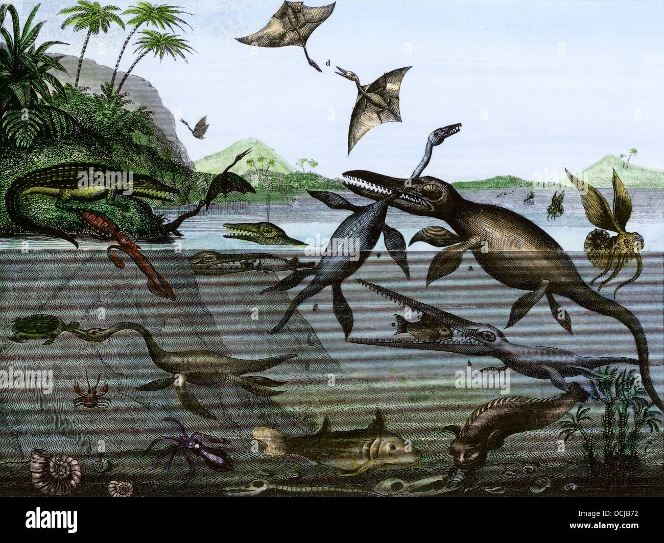 Dinosaurier des Meer, Land und Luft im Zeitalter der Reptilien, eine Darstellung aus dem 19. Jahrhundert. Hand - farbige Gravur Stockfoto