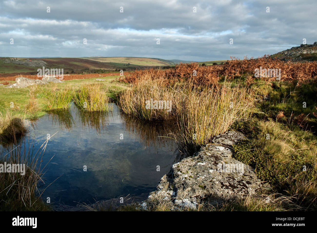 Die Wildnis des Bodmin Moor in Cornwall, Großbritannien Stockfoto