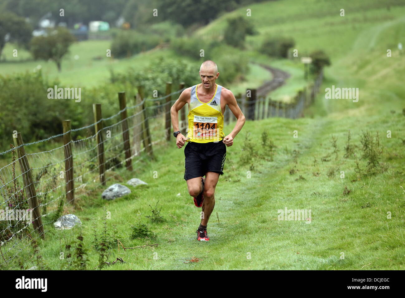 Tywyn, Wales, UK, Samstag, 17. August 2013 im Bild: Sieger des Rennens, Andi Jones von der Stockport Harriers, mit einer Zeit von 01:18:43 Re: Rennen der Zug ist eine jährliche cross Country Lauf-Event, das in Tywyn, Mid Wales stattfindet. Das Rennen wird von Tywyn Rotary Club organisiert und Läufer aus aller Welt anzieht. Im main Event konkurrieren Läufer, einen Dampfzug auf der erhaltenen Talyllyn Railway über eine Distanz von 14 Meilen (23 km) zu schlagen.  Die Veranstaltung war die Idee der lokalen Zahnarzt, Godfrey Worsey, und wurde zuerst im Jahr 1984 mit rund 48 Läufer laufen. © D Legakis/Alamy Live-Nachrichten Stockfoto