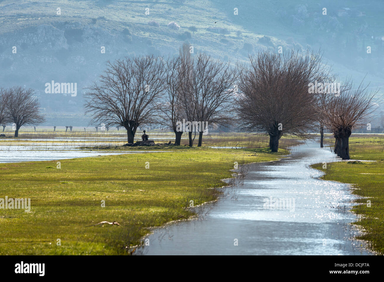 Winterlandschaft mit überfluteten Stream auf den Ebenen von Mantineia, in der Nähe von Tripolis, südlichen Arcadia, Peloponnes, Griechenland Stockfoto