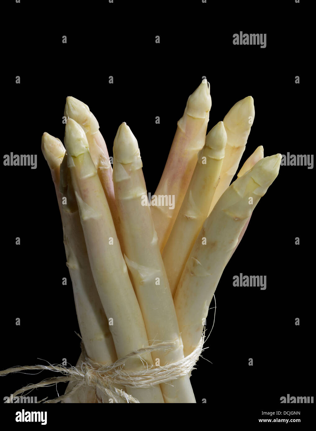 Reihe von weißen Spargel Gemüse vor schwarzer Rücken Stockfoto