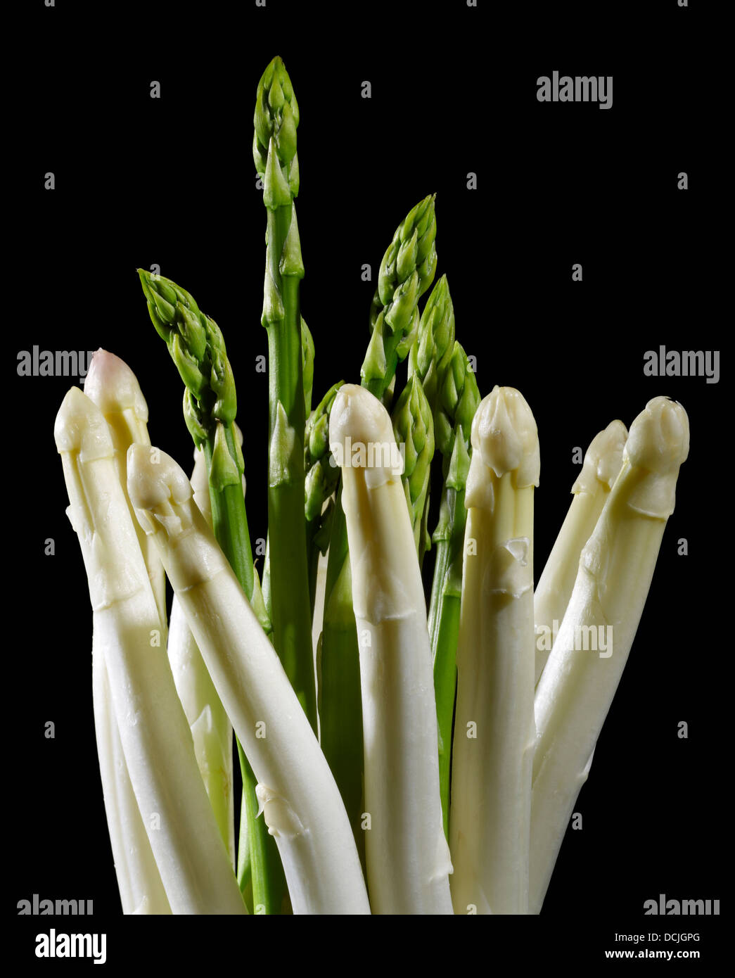 Reihe von weißem und grünem Spargel Gemüse in Schwarz zurück Stockfoto