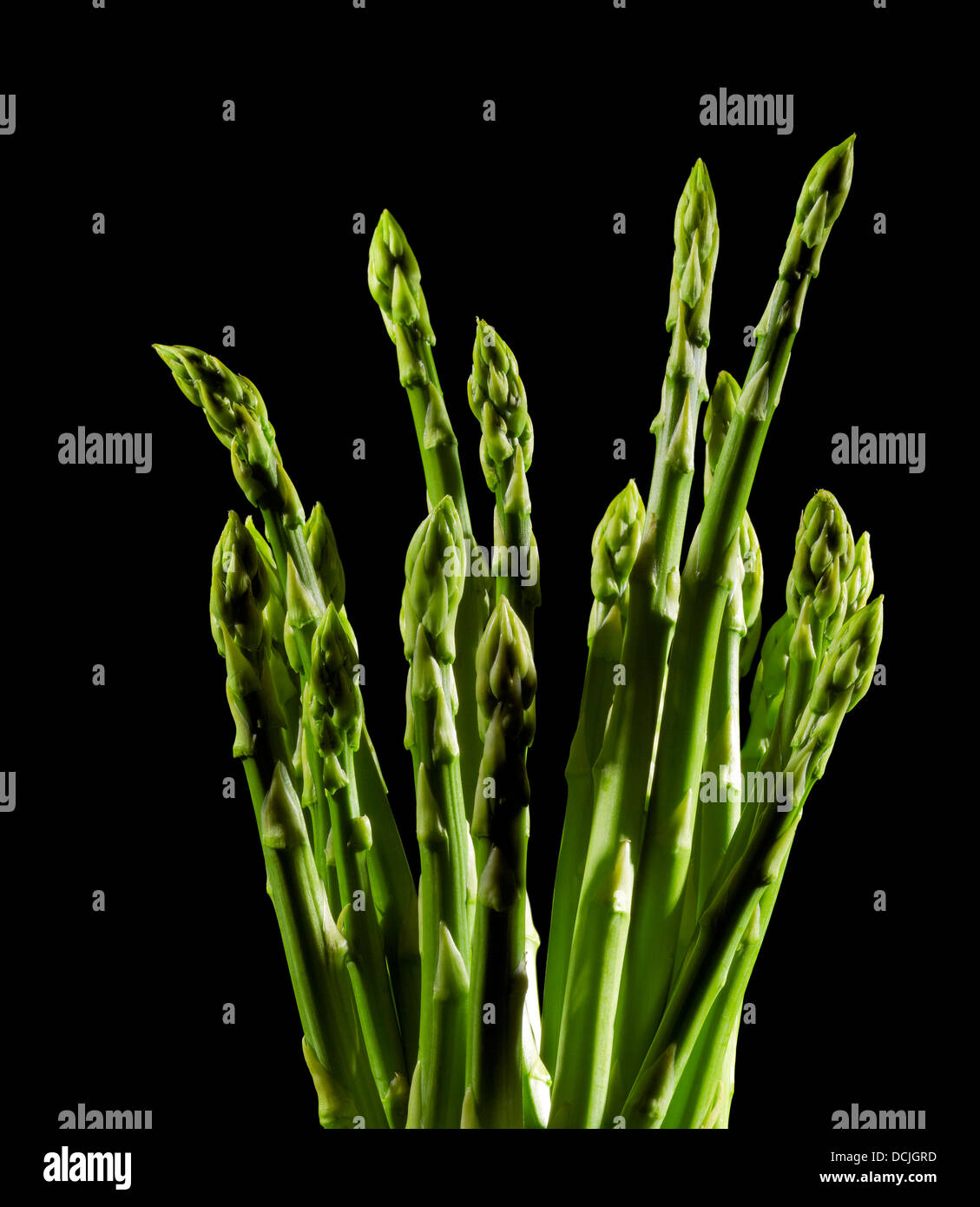eine Reihe von grünem Spargel Gemüse in Schwarz zurück Stockfoto