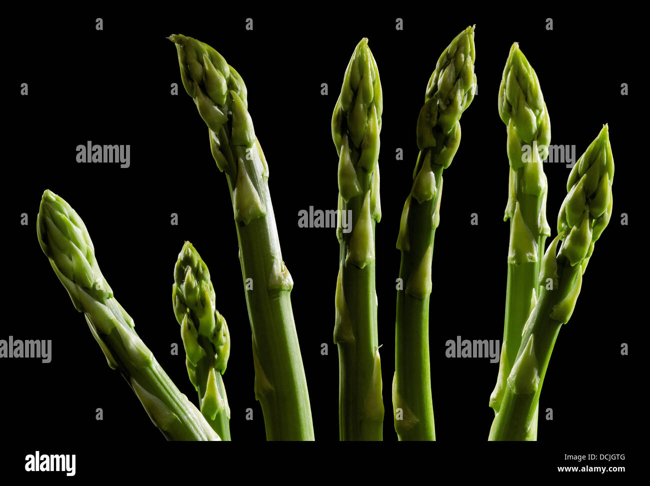 grüner Spargel Gemüse in Schwarz zurück Stockfoto