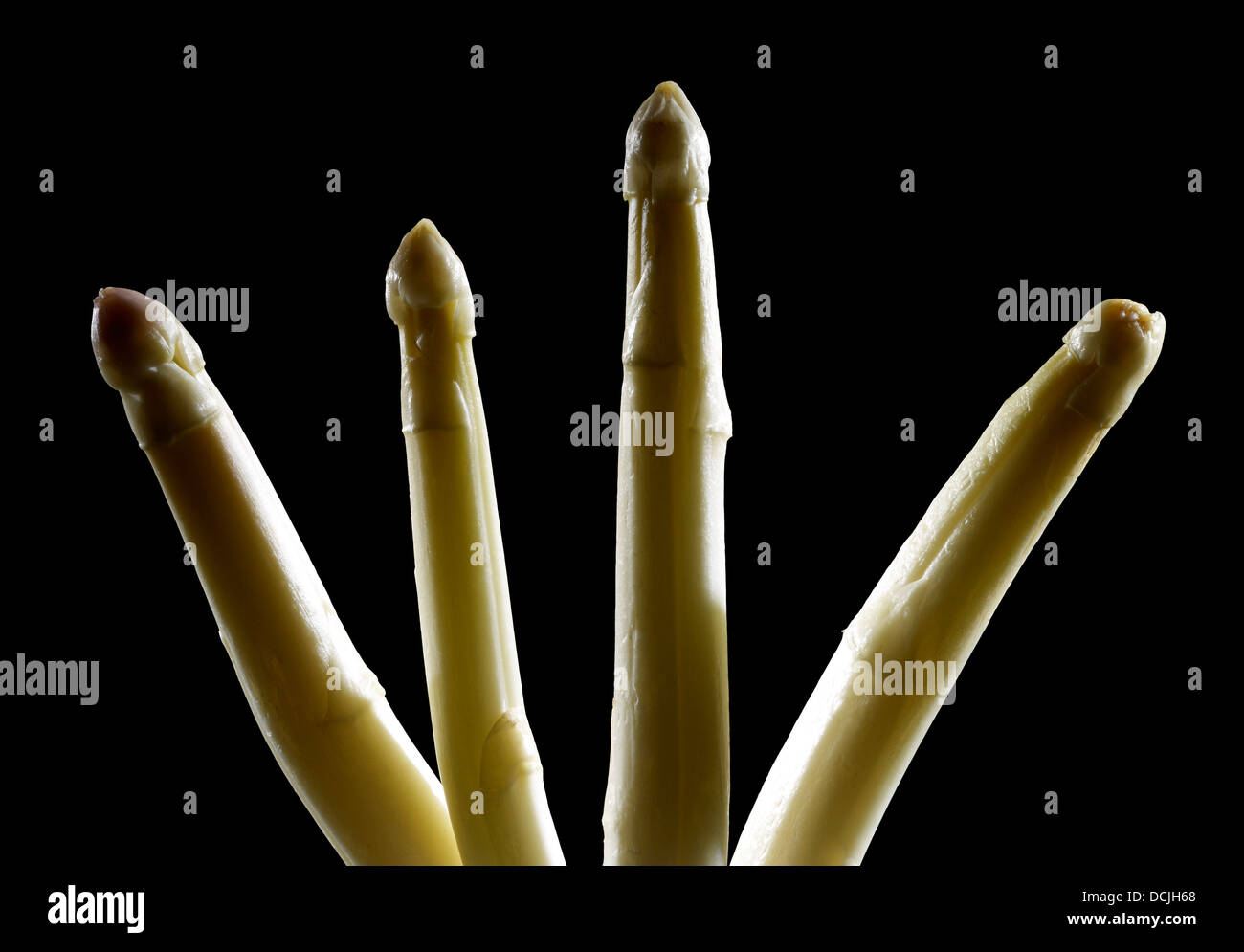 weißer Spargel Gemüse vor schwarzer Rücken Stockfoto