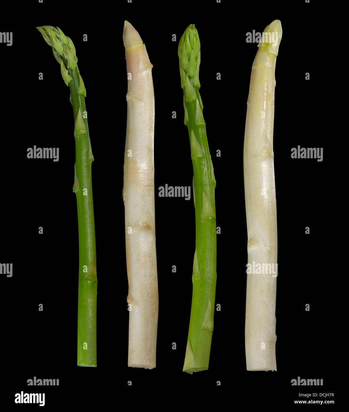 weißen und grünen Spargel Gemüse in Schwarz zurück Stockfoto