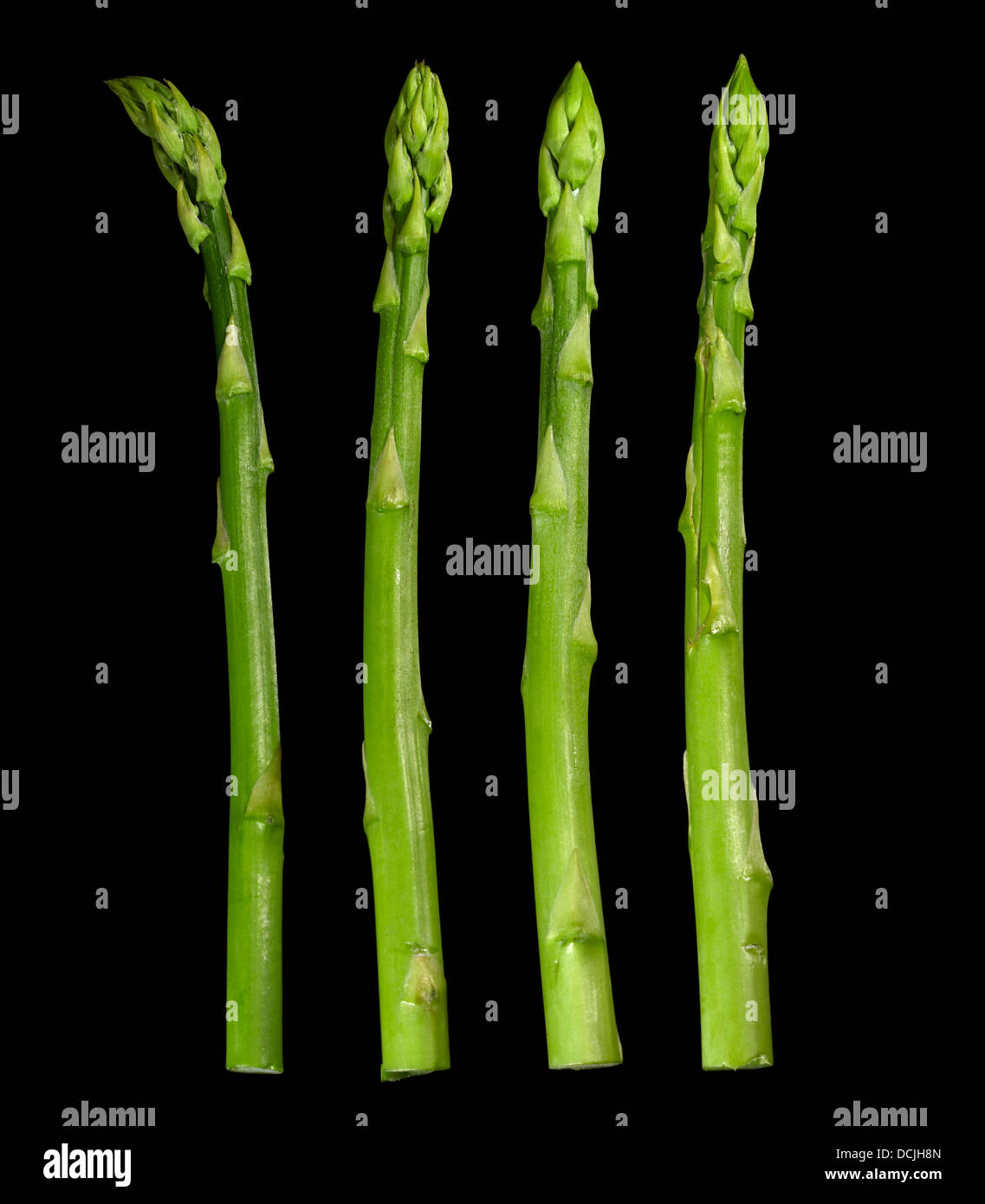 grüner Spargel Gemüse in Schwarz zurück Stockfoto
