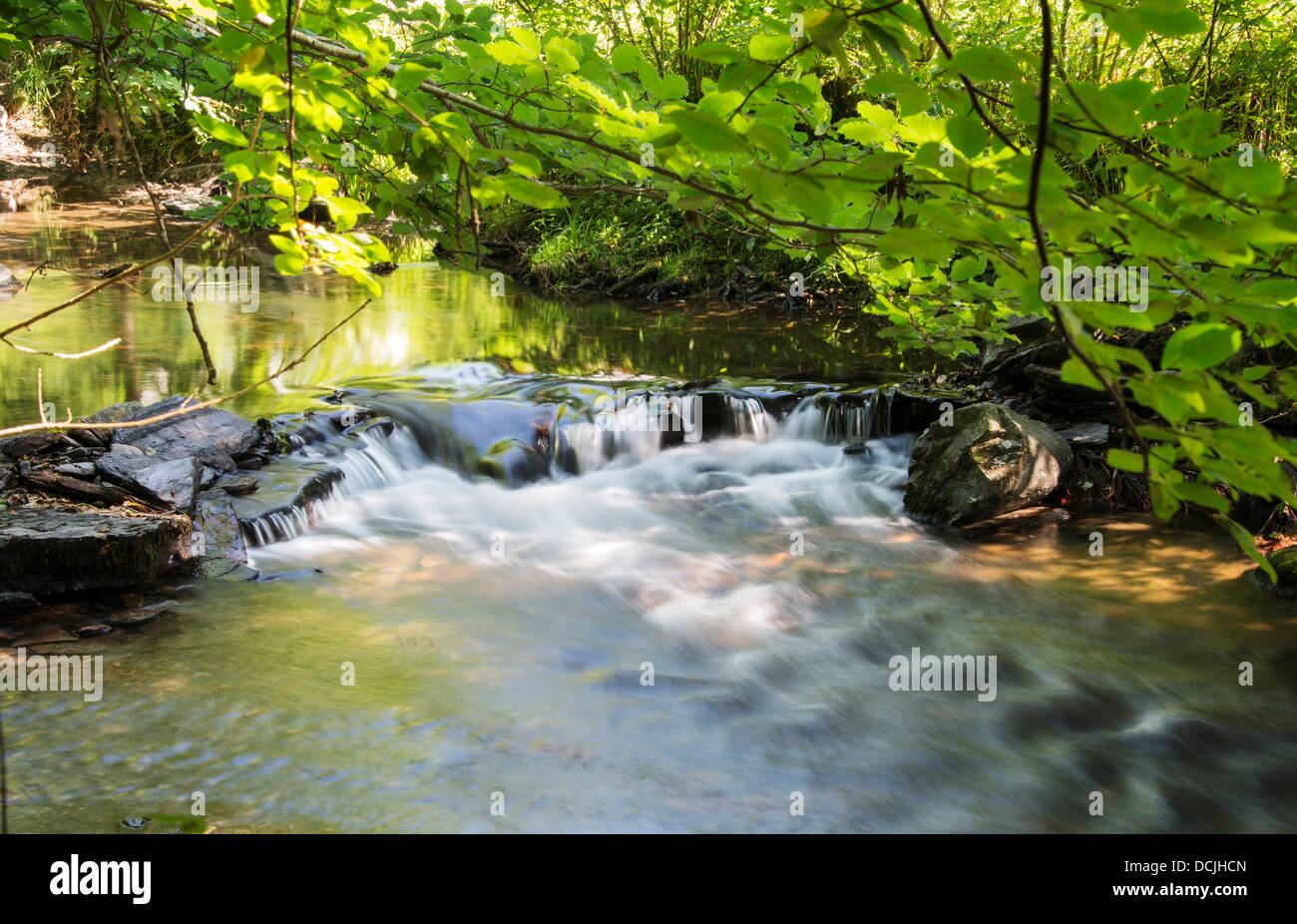 fließendes Wasser in den Fluss Semois in Belgien Natur Stockfoto