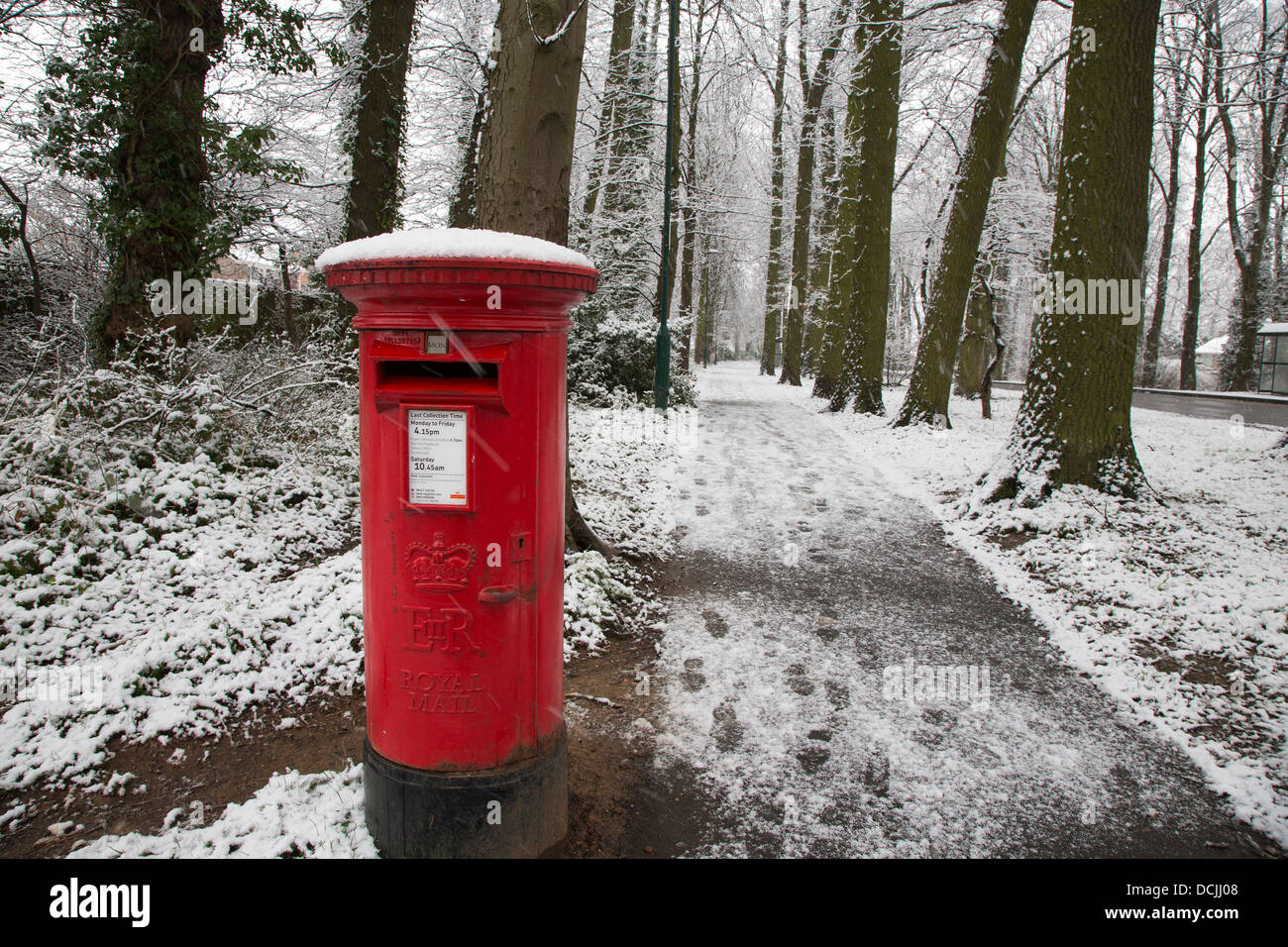 Rote Säule Box, Schnee und Bäume Stockfoto