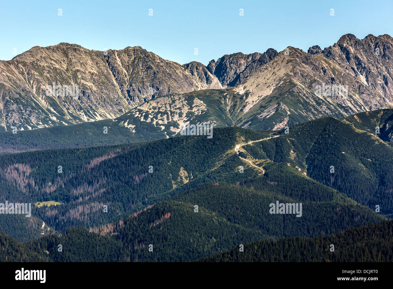 Sommer-Blick auf die hohe Tatra Stockfoto