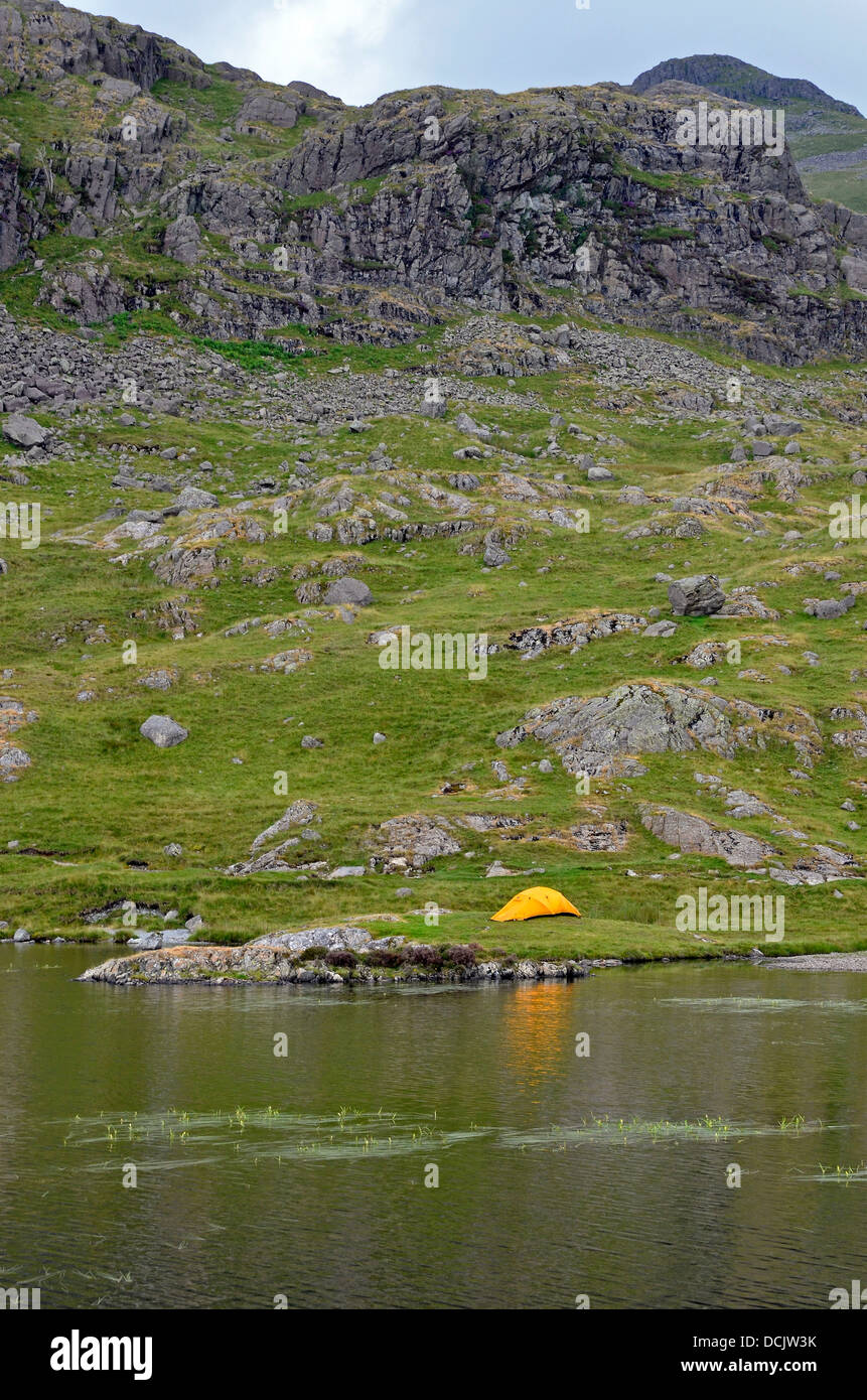 Wildnis camping in der Nähe von scheut Tarn, über dem Langdale Tal im Lake District National Park ist ein beliebtes Touristenziel. Stockfoto