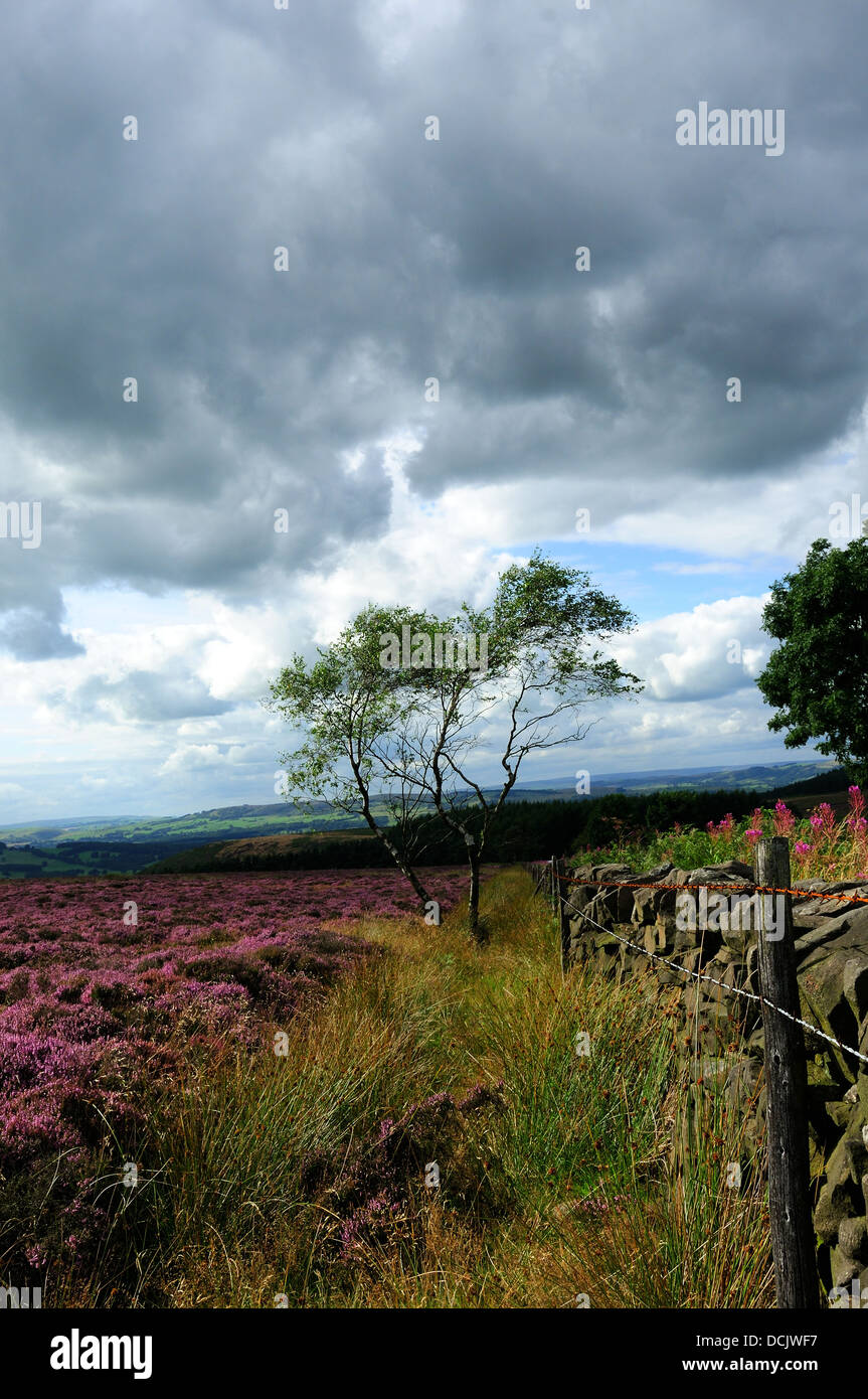 Beeley Moor.Derbyshire. Stockfoto