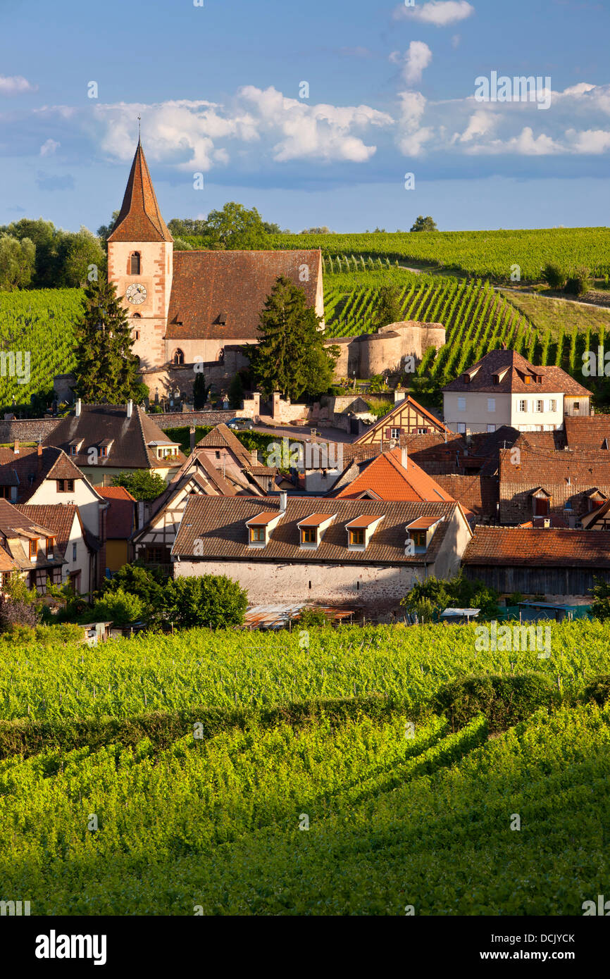 Blick über die Stadt von Hunawihr entlang der Weinstraße, Elsass Haut-Rhin, Frankreich Stockfoto