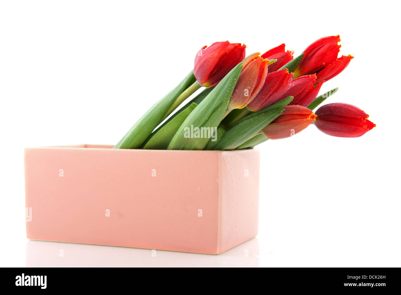 Rote Tulpen in moderne vase Stockfoto