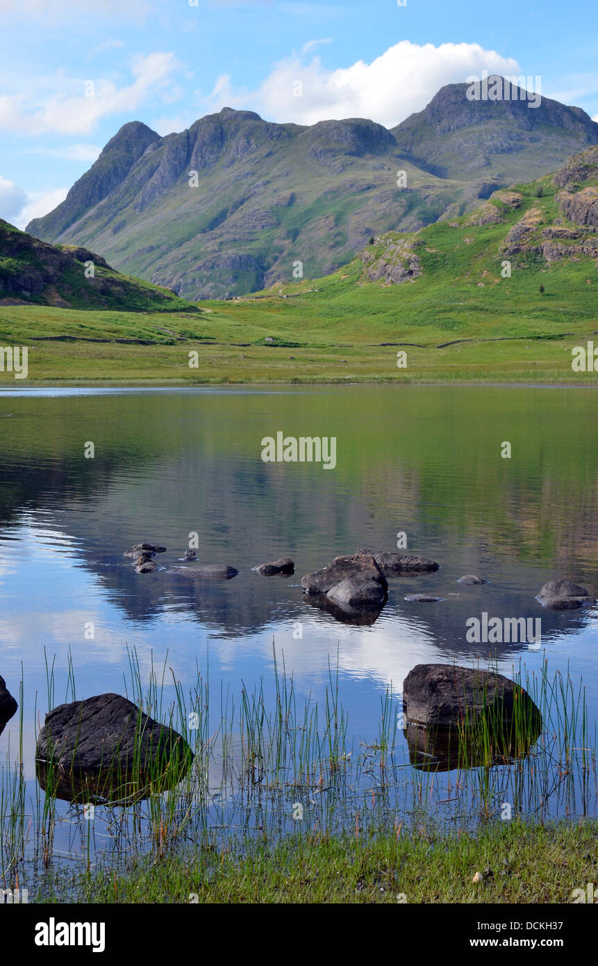 Die Langdale Pikes gesehen über Blea Tarn im Sommer am frühen Abend Licht, Nationalpark Lake District, Cumbria, England. Stockfoto