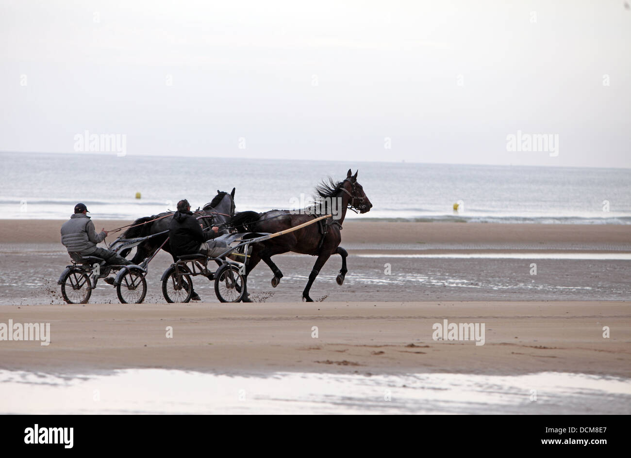 Trabrennen, Sulky Racing, Gig Pferderennen, am Strand. Zigeuner Pferde Stockfoto