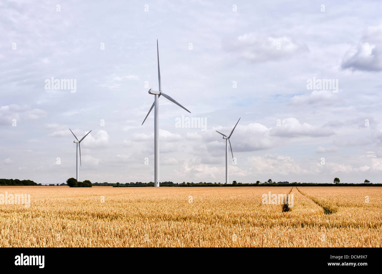 Windkraftanlagen in einem Weizenfeld in der Nähe von Beverley, Yorkshire, Großbritannien. Stockfoto