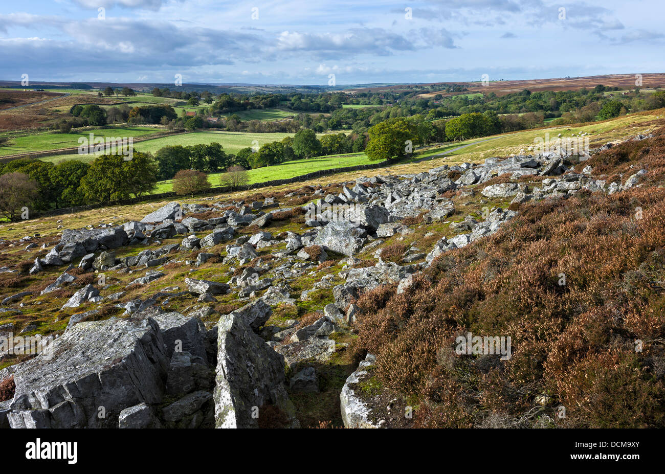 Jura Felsen und Heather in den North York Moors National Park, Goathland, Yorkshire, Vereinigtes Königreich. Stockfoto