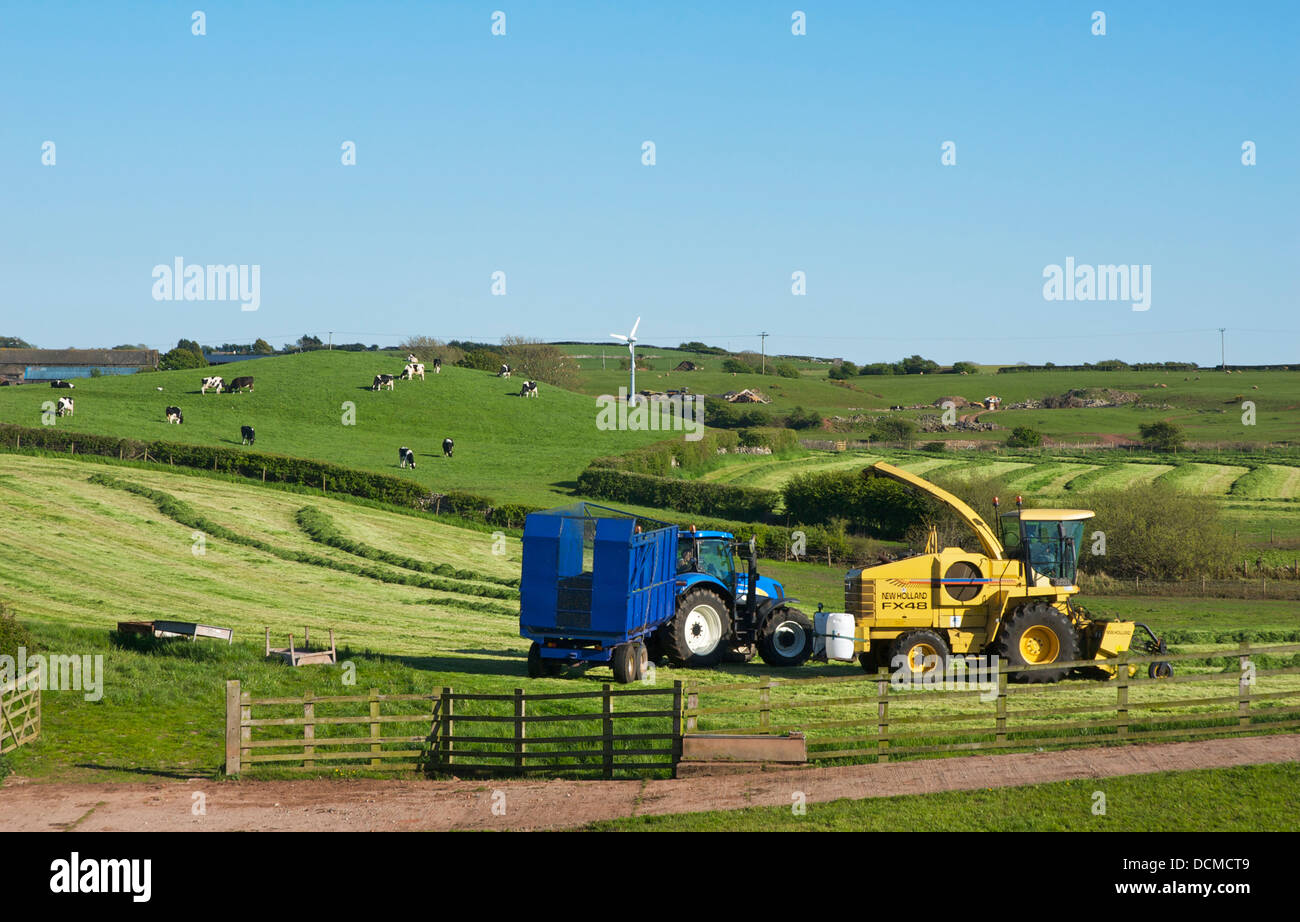 Heu-Herstellung in einem Feld in der Nähe von Lindal, South Lakeland, Cumbria, England UK Stockfoto