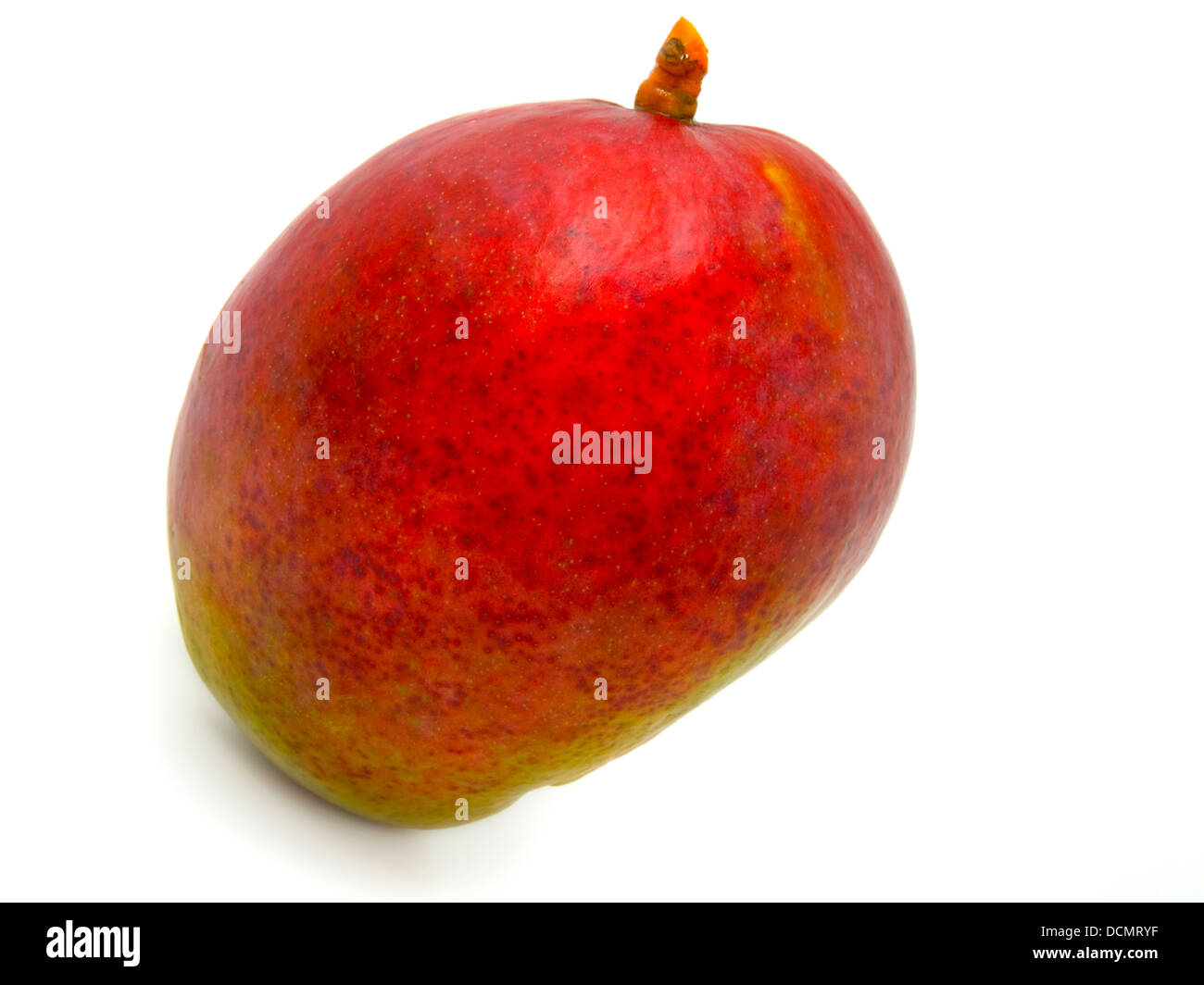 Mango, die isoliert auf weißem Hintergrund Stockfoto