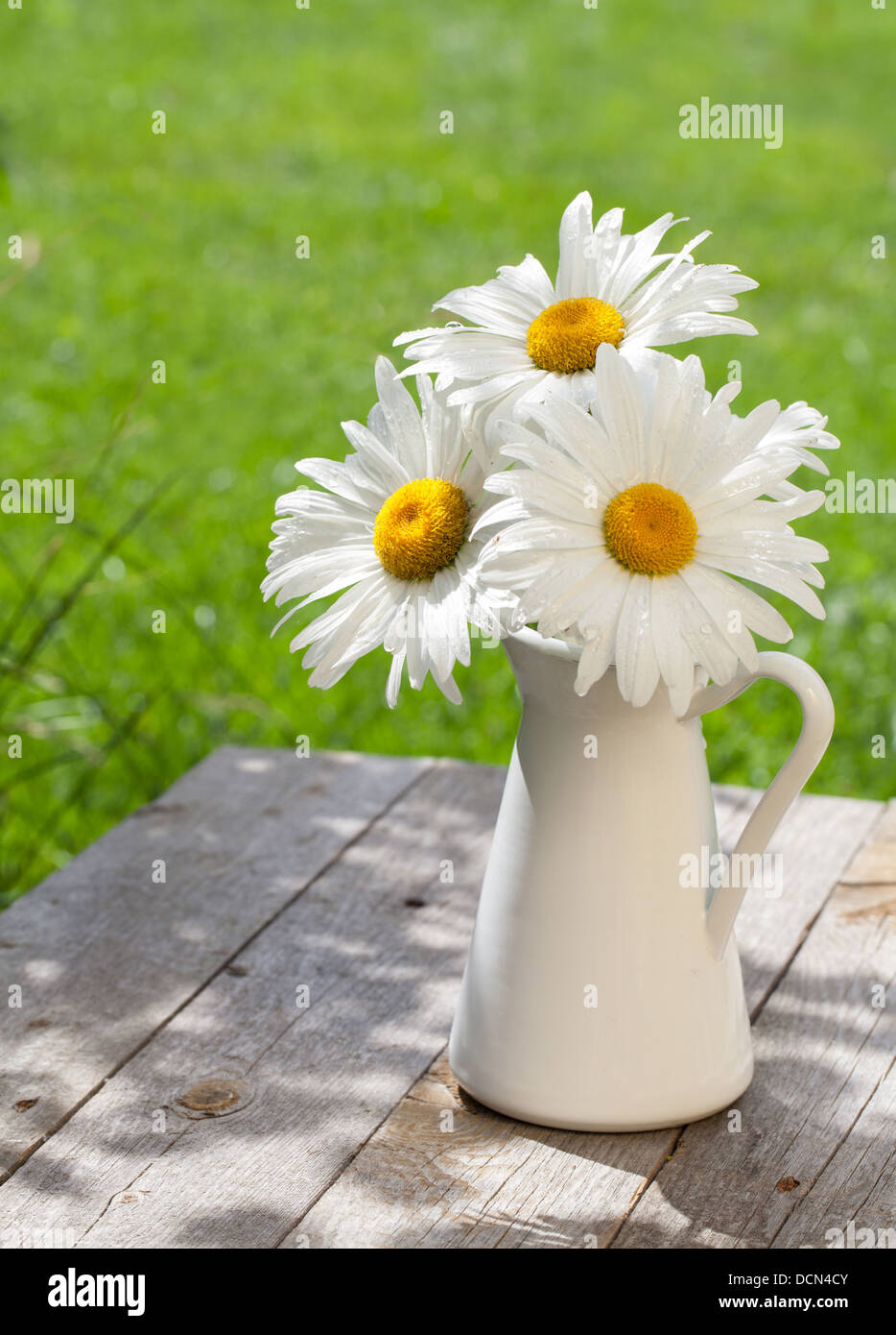 Frischer Garten Kamille Blumenstrauß in der Vase auf Holztisch Stockfoto
