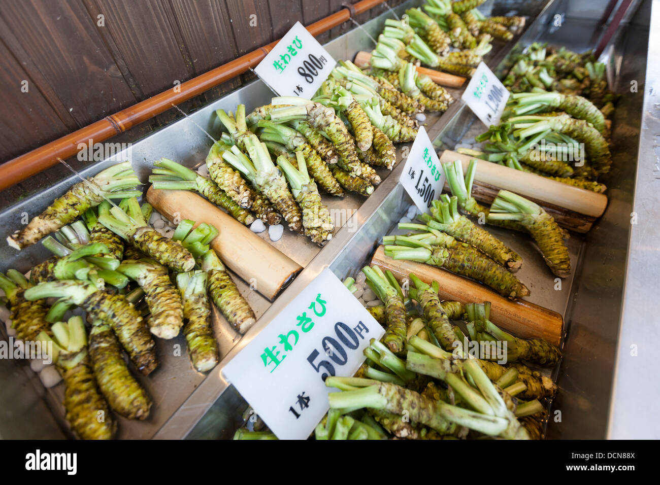 Wasabi-Frischpflanzen zum Verkauf an einer Wasabi-Farm in Hotaka, Japan. Geringe Schärfentiefe. Stockfoto