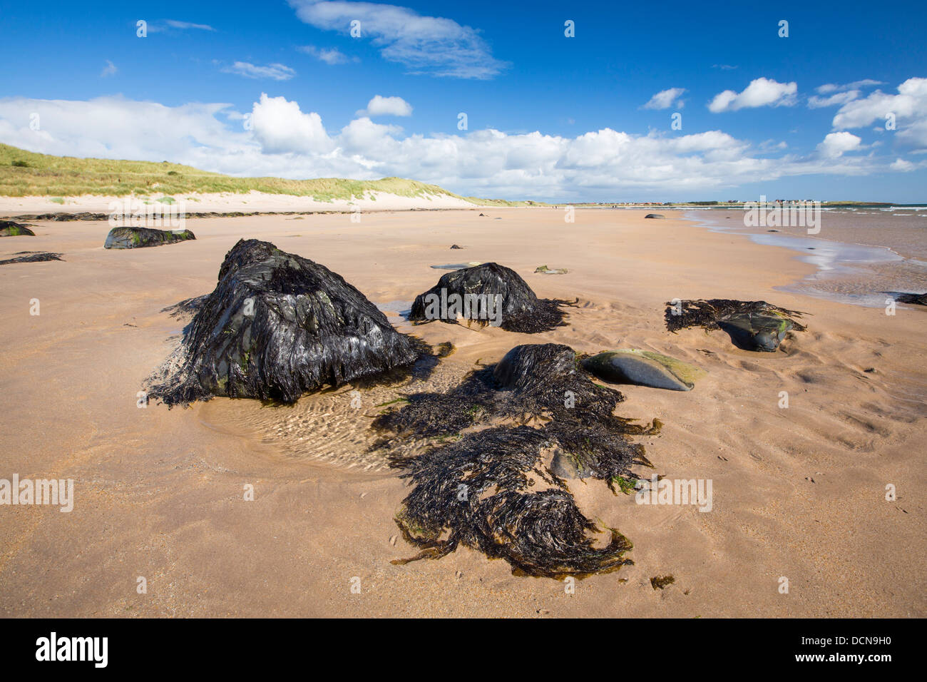 Beadnell Bay, in Northumberland, England. Stockfoto