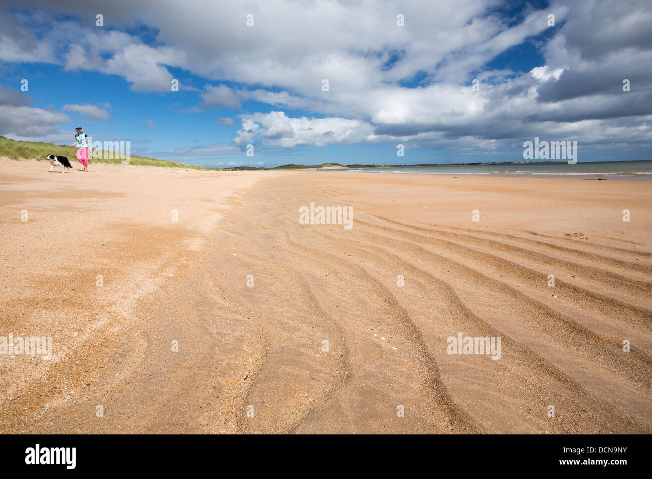 Sand, Wellen am Strand und eine Frau, die ihrem Hund Beadnell Bay, in Northumberland, England. Stockfoto