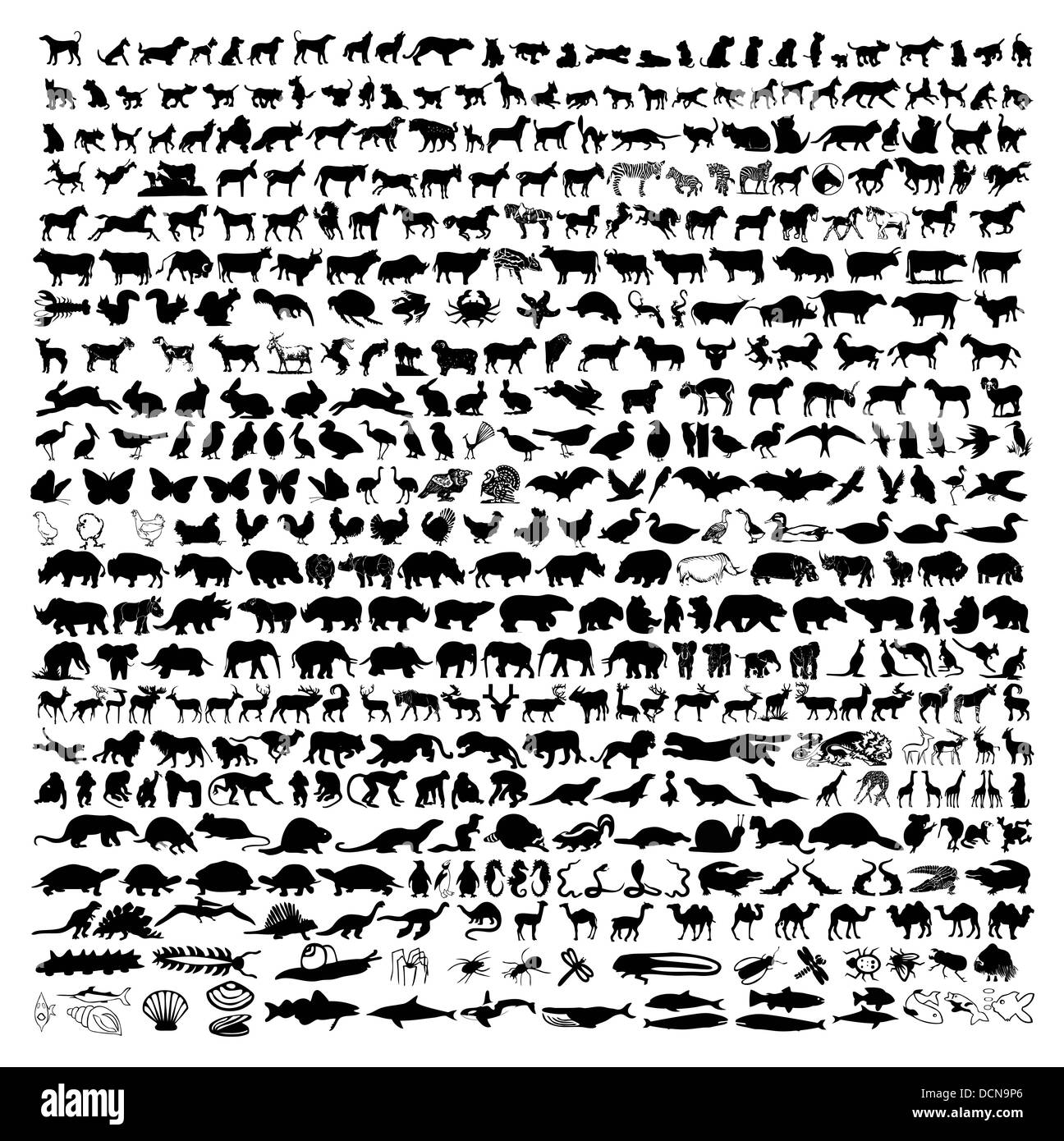 tierischen Silhouetten Stockfoto