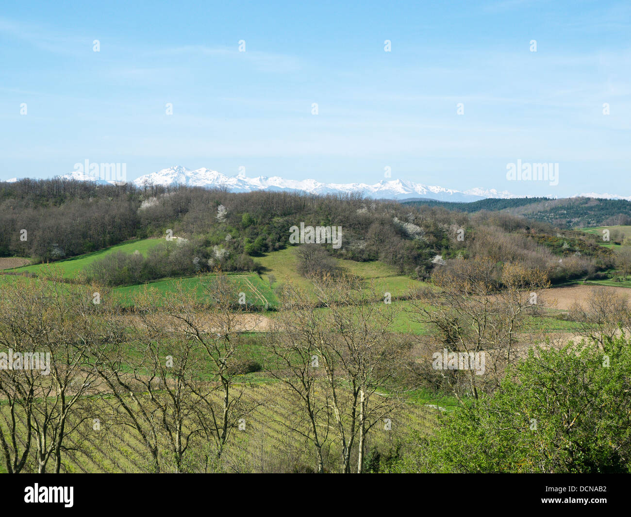 Blick von der Anhöhe Dorf von Bellegarde-du-Brennstoffreserven über die Weinberge in den Schnee bedeckt Pyrenäen im Hintergrund. Stockfoto