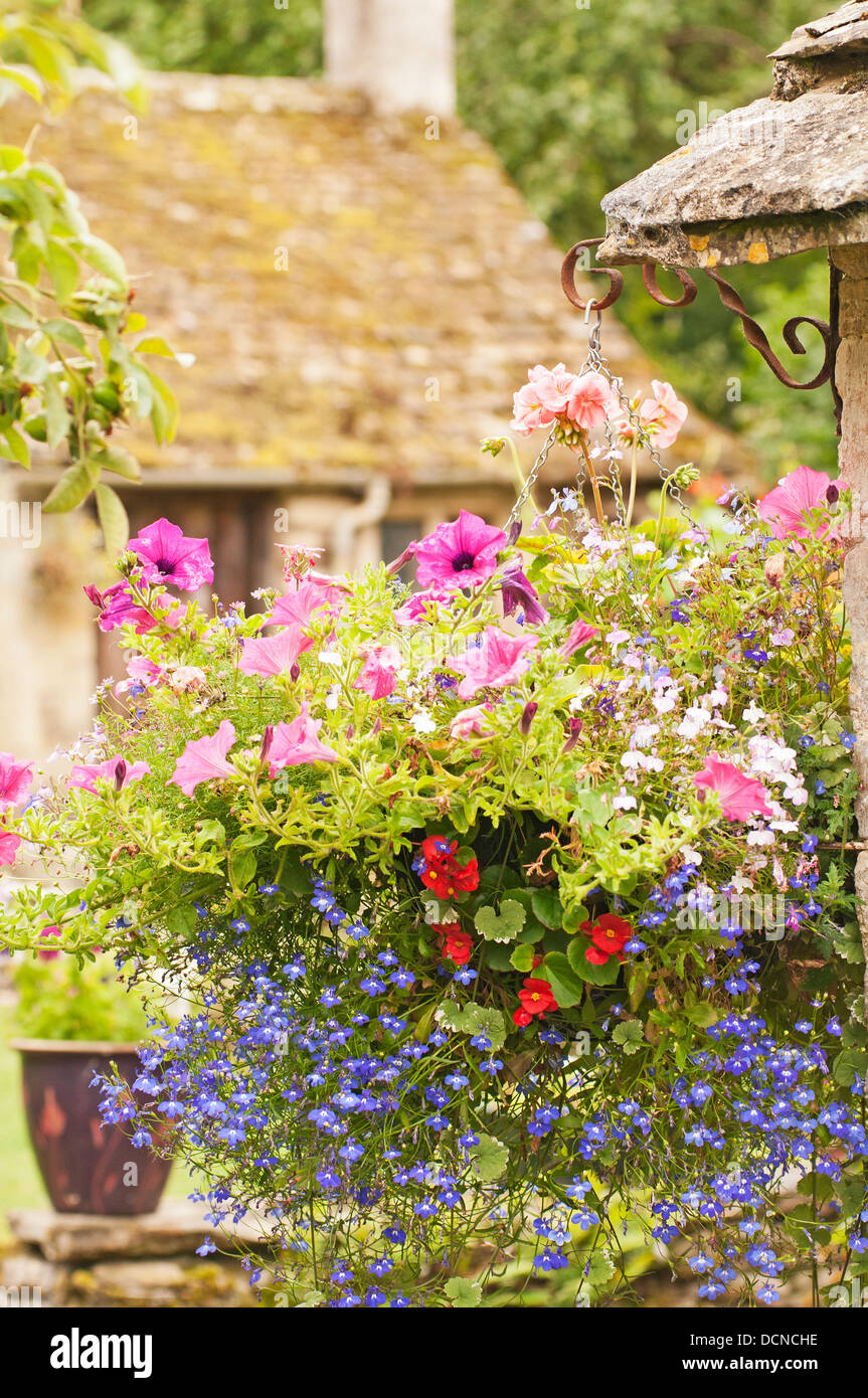 Blumenampel mit Petunia und Lobelia Bibury Gloucestershire England Großbritannien Stockfoto