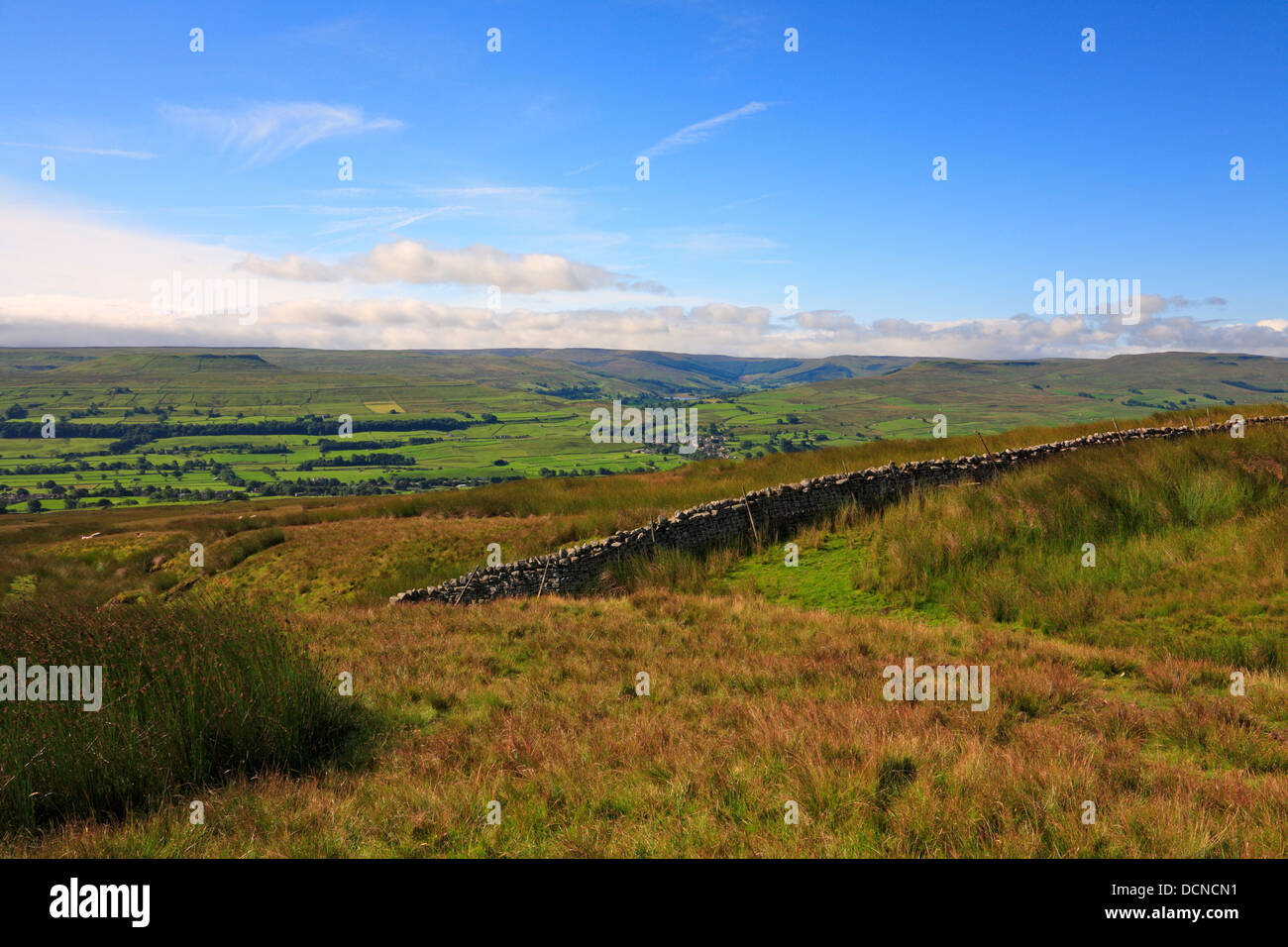 Askrigg Common in Richtung Bainbridge, Addlebrough und Raydale in Wensleydale, North Yorkshire, Yorkshire Dales National Park, England, Vereinigtes Königreich. Stockfoto