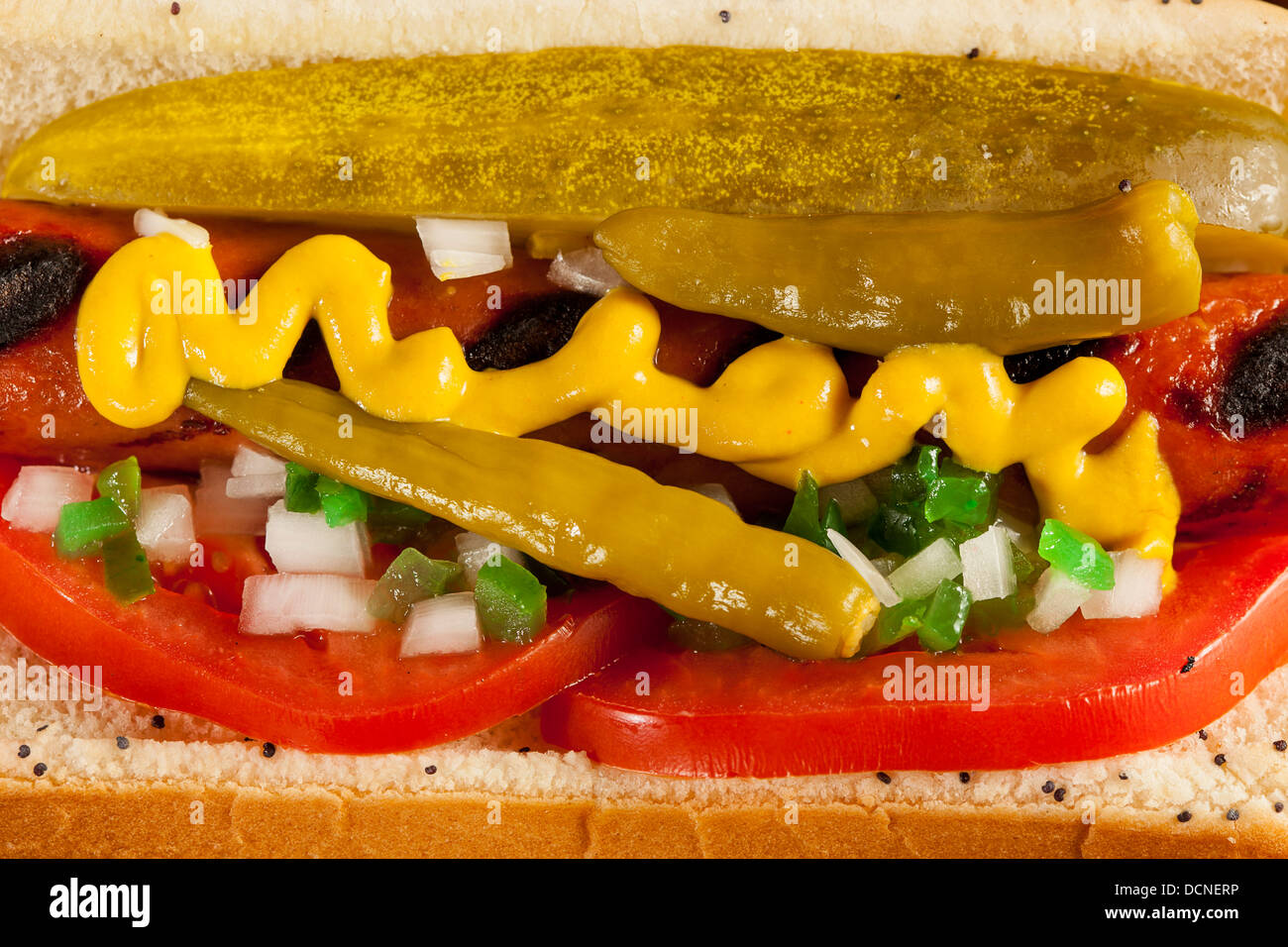 Chicago Style Hotdog mit Senf, Gurke, Tomate, Relish und Zwiebel Stockfoto
