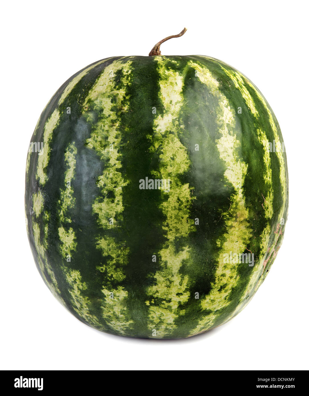 Ganze Wassermelone isoliert auf weiß Stockfoto