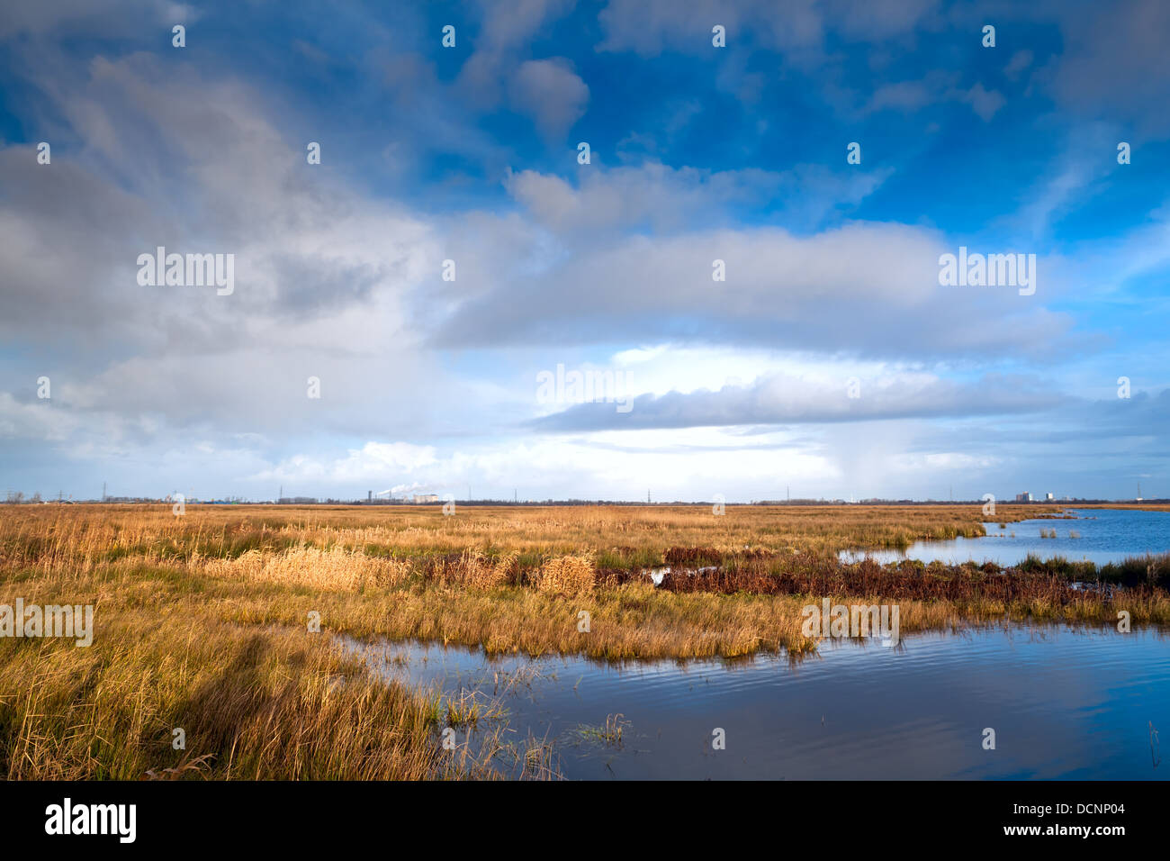 Landschaft in Drenthe Stockfoto