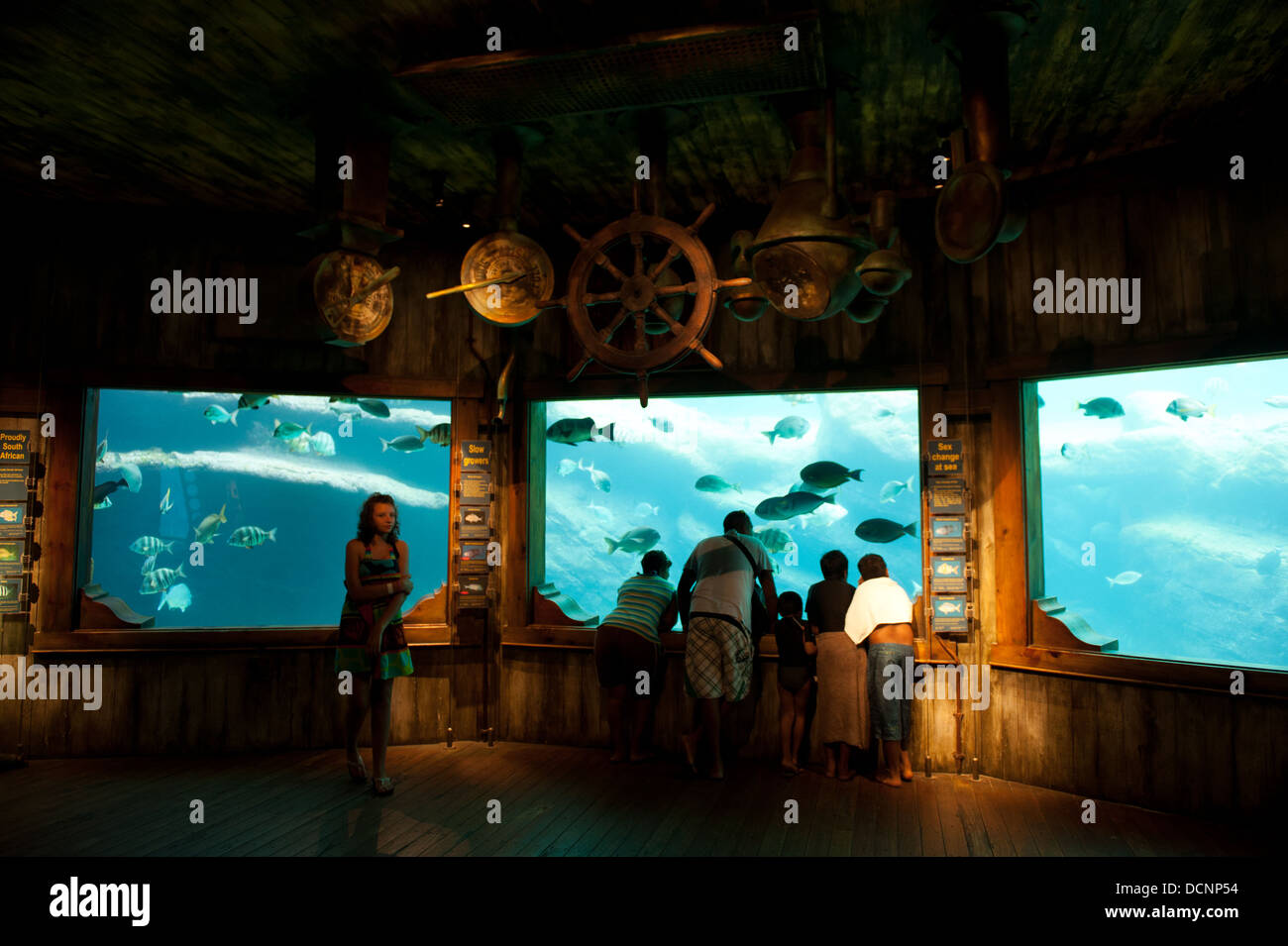Aquarium in uShaka Marine World, Durban, Südafrika Stockfoto
