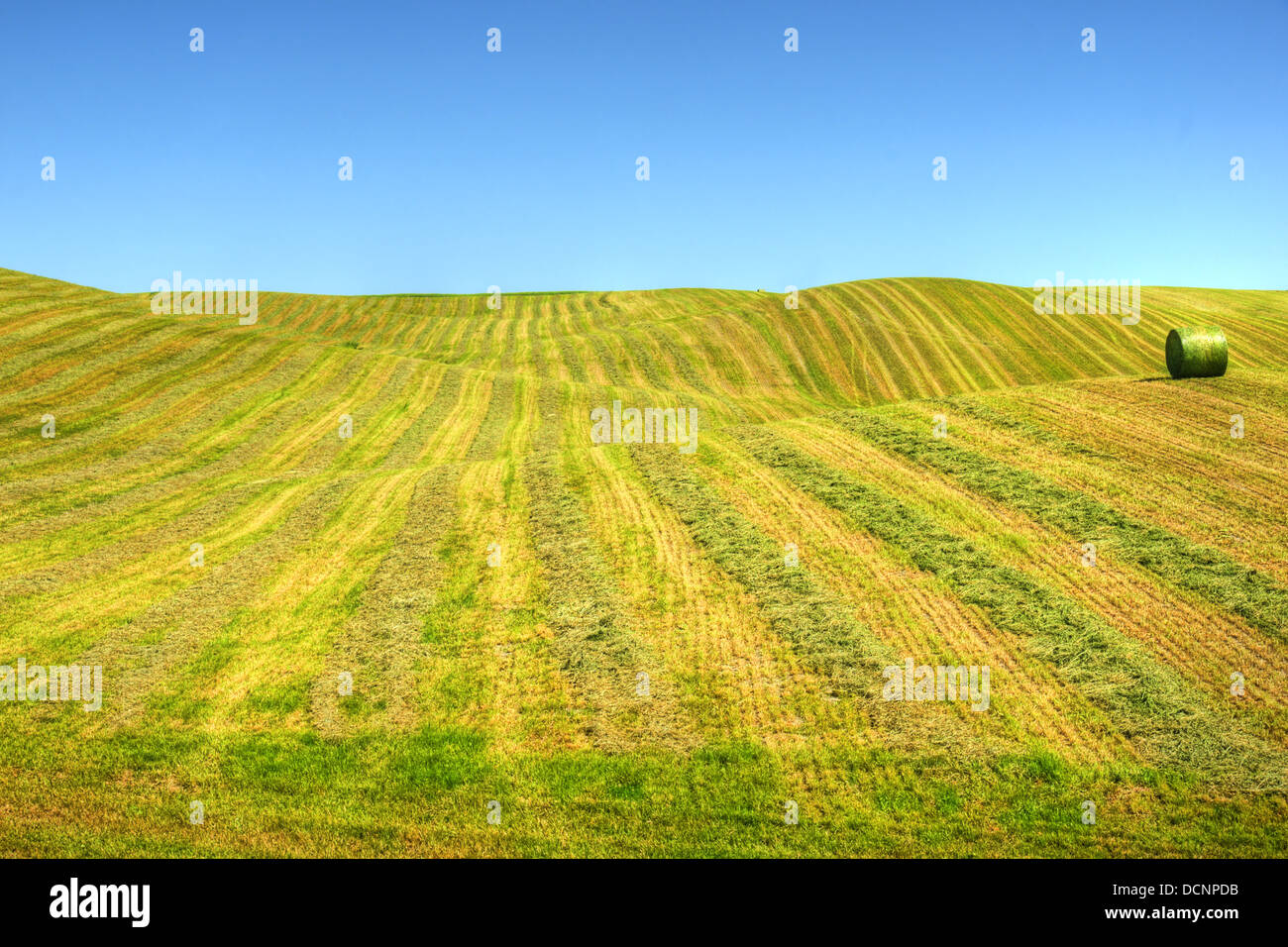 Sanfte Hügel gewendetem Feld Stockfoto