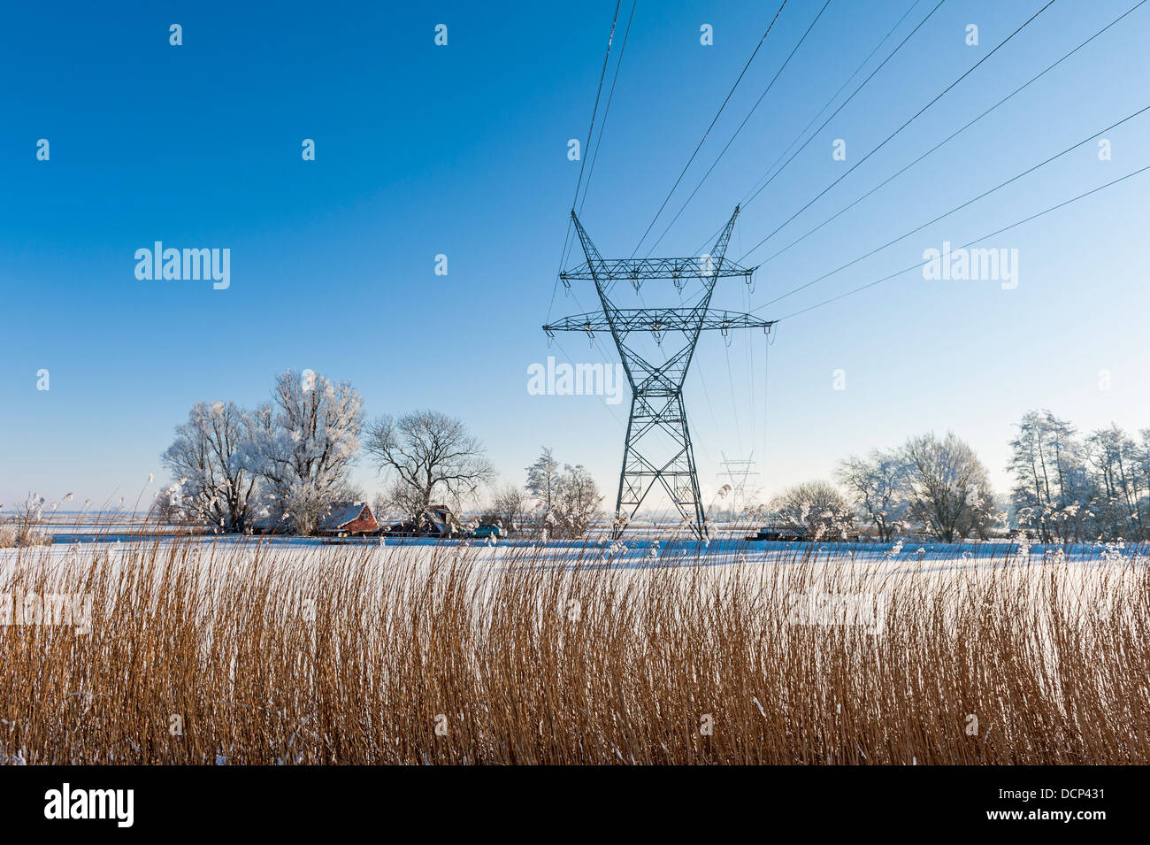 Strommast in holländische Winterlandschaft Stockfoto