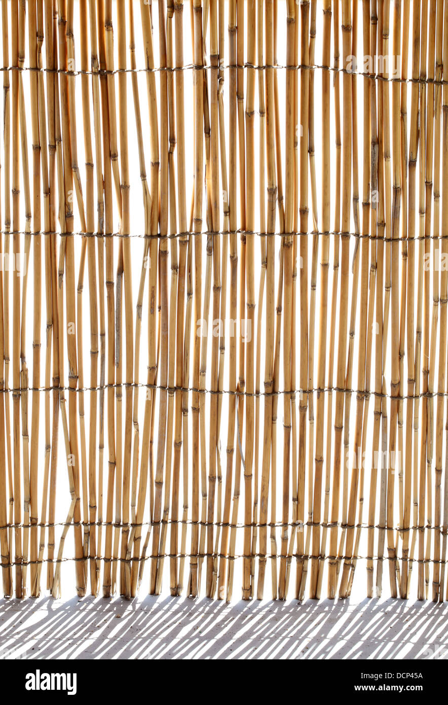 Bambus blind für Hintergrund Stockfoto