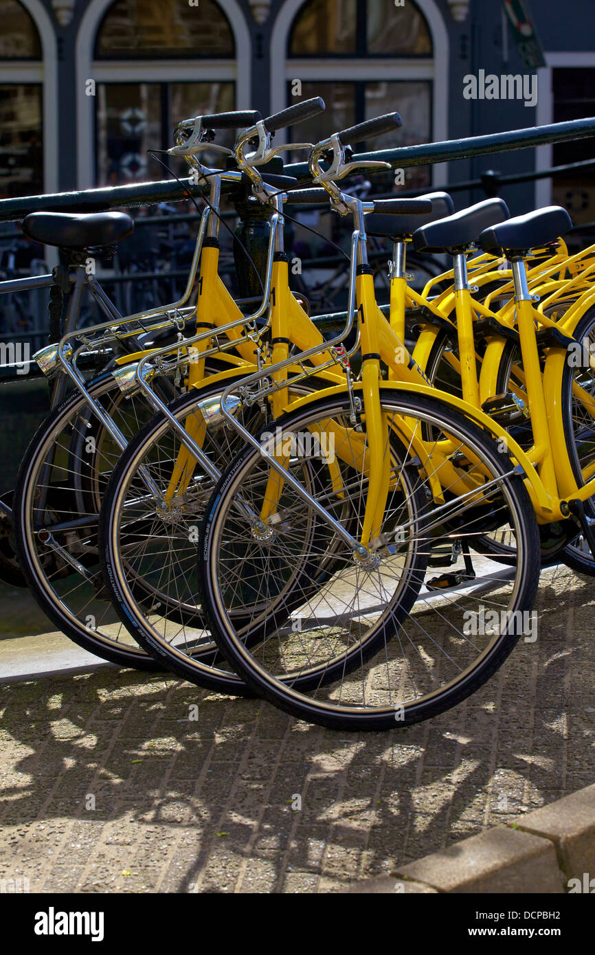 Gelbe Fahrräder, Amsterdam, Niederlande, Europa Stockfoto