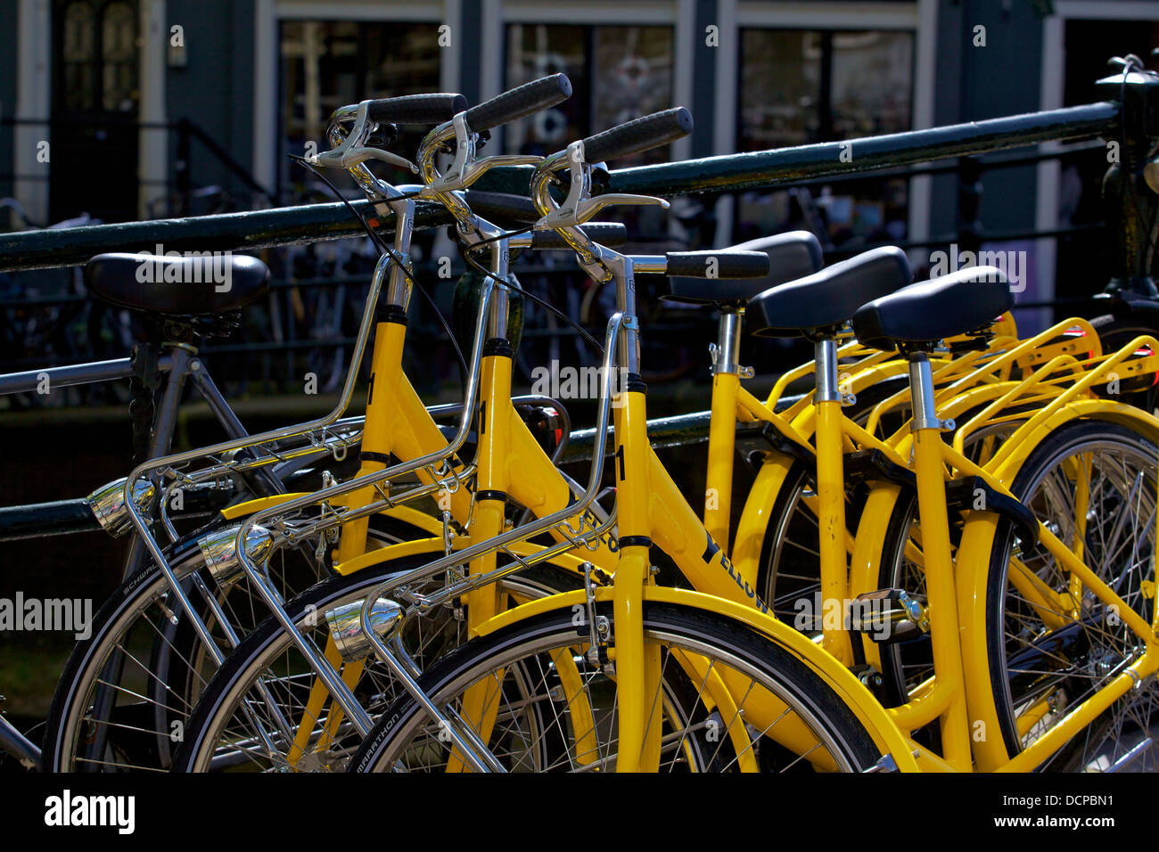 Gelbe Fahrräder, Amsterdam, Niederlande, Europa Stockfoto