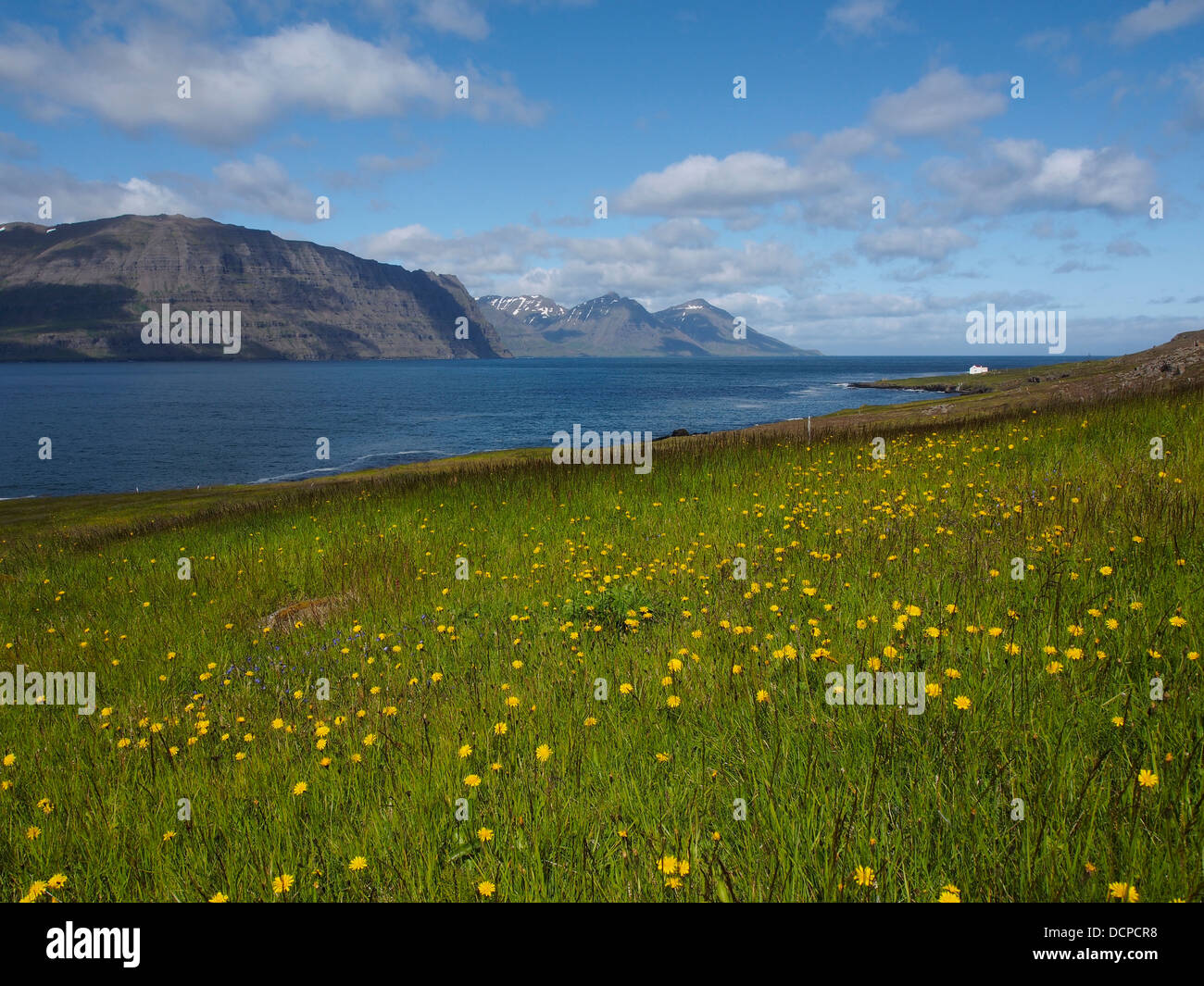 Barðsnes (verlassenen Hof), Island Stockfoto