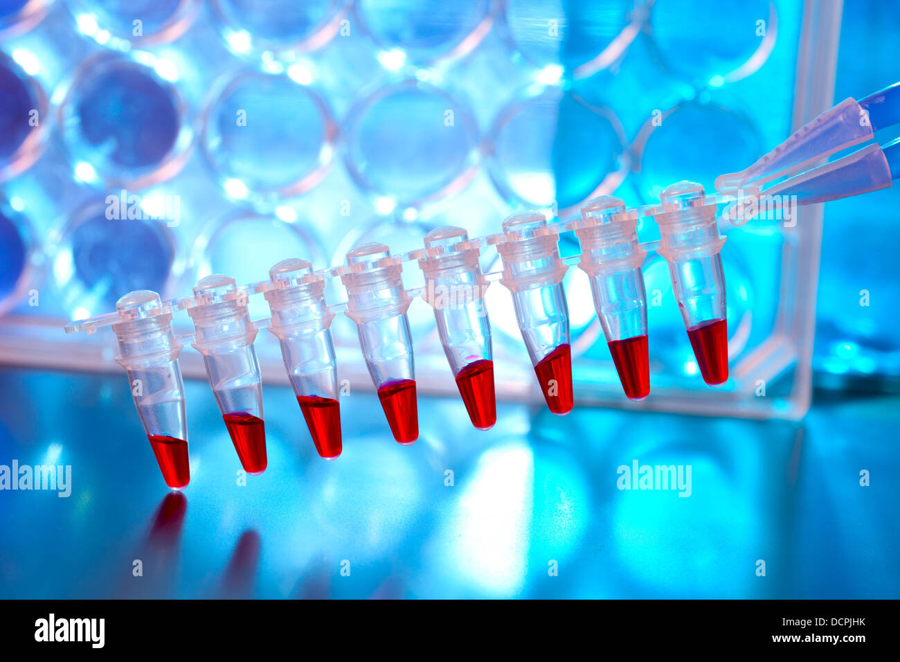 Sripe von Kunststoffrohren mit Proben für die DNA-Analyse Stockfoto
