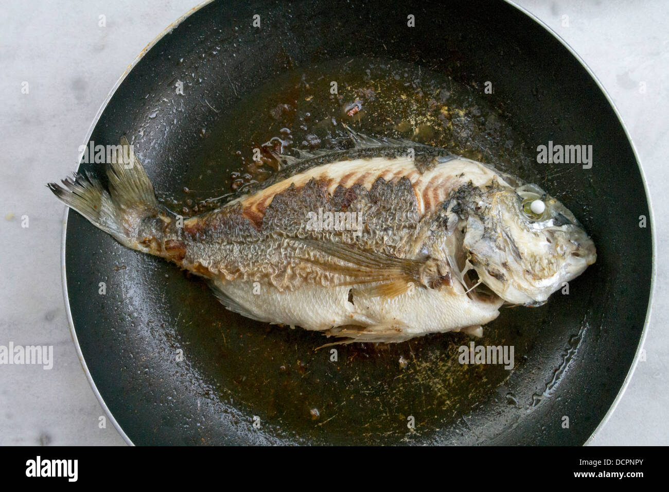 ganze gebratene aus Dorade Fisch (Dourada) auf die schwarze Schale Stockfoto