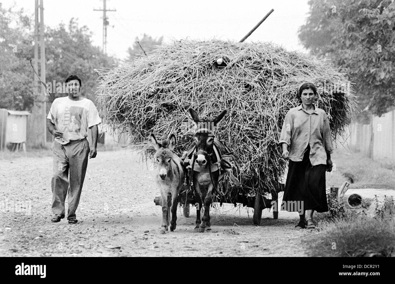 Roma paar nach Hause kommen von den Feldern im Valea Seaca Bacau Rumänien Stockfoto
