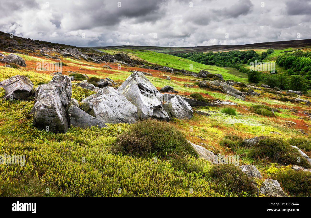 Jura Felsen, North York Moors, Goathland, Yorkshire, Großbritannien. Stockfoto