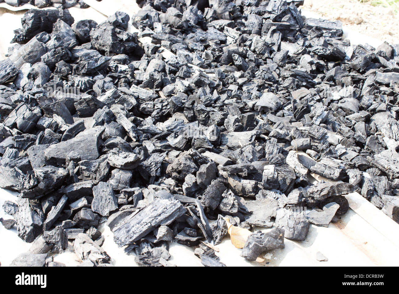 Holzkohle, glühende Marke Stockfoto