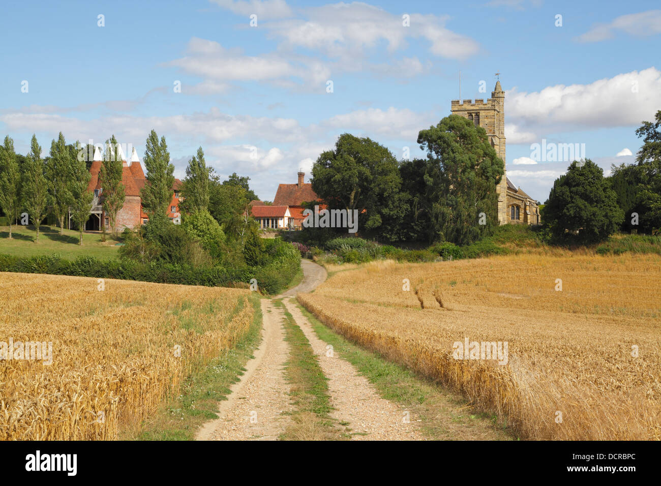 Feldweg durch Weizenfelder zur Erntezeit, Oast House und St-Margarethen Kirche, Horsmonden Kent England UK Stockfoto