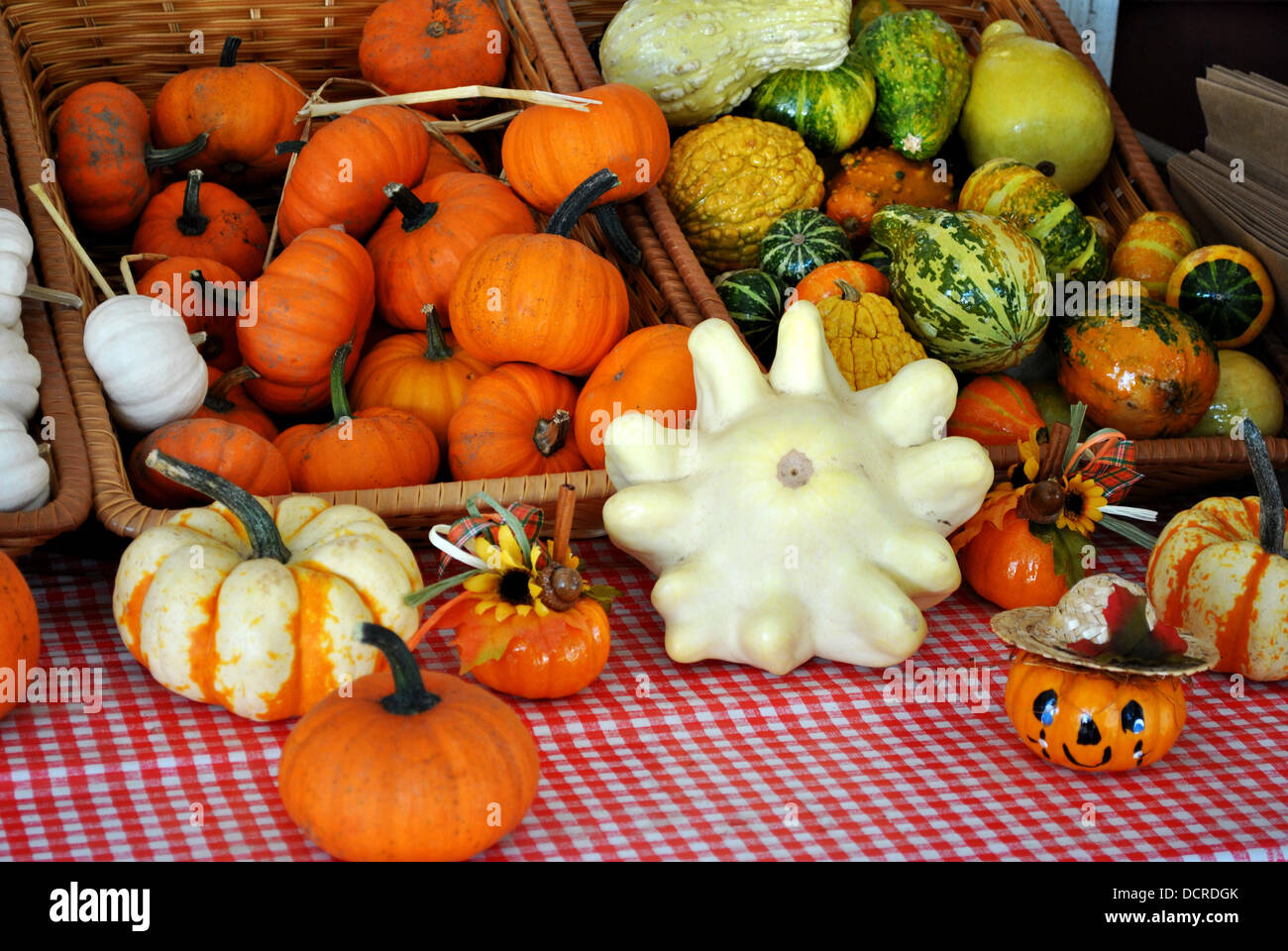 Im Herbst Kürbisse & Kürbisse Stockfoto